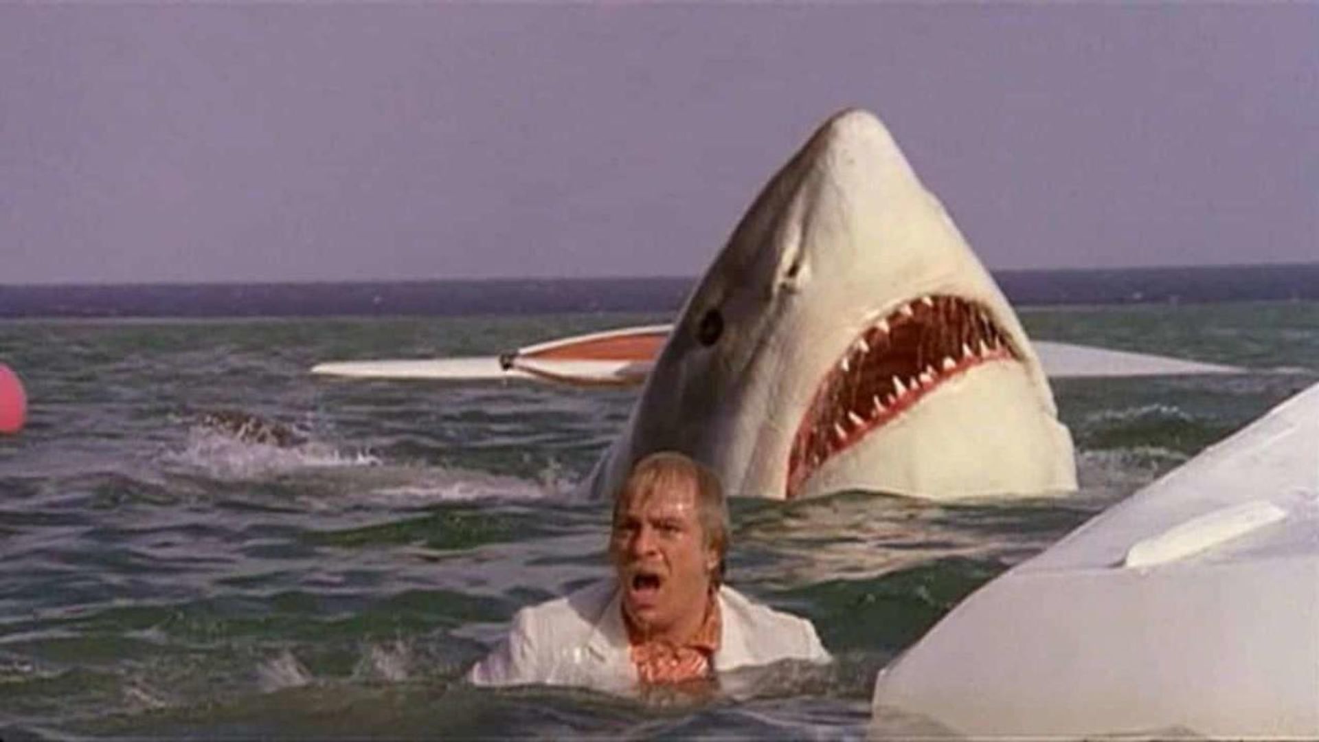 The Last Shark background