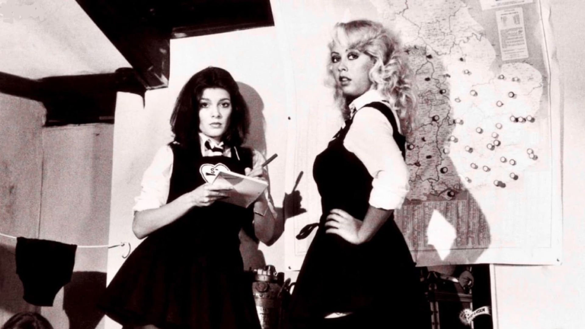 The Wildcats of St. Trinian's background