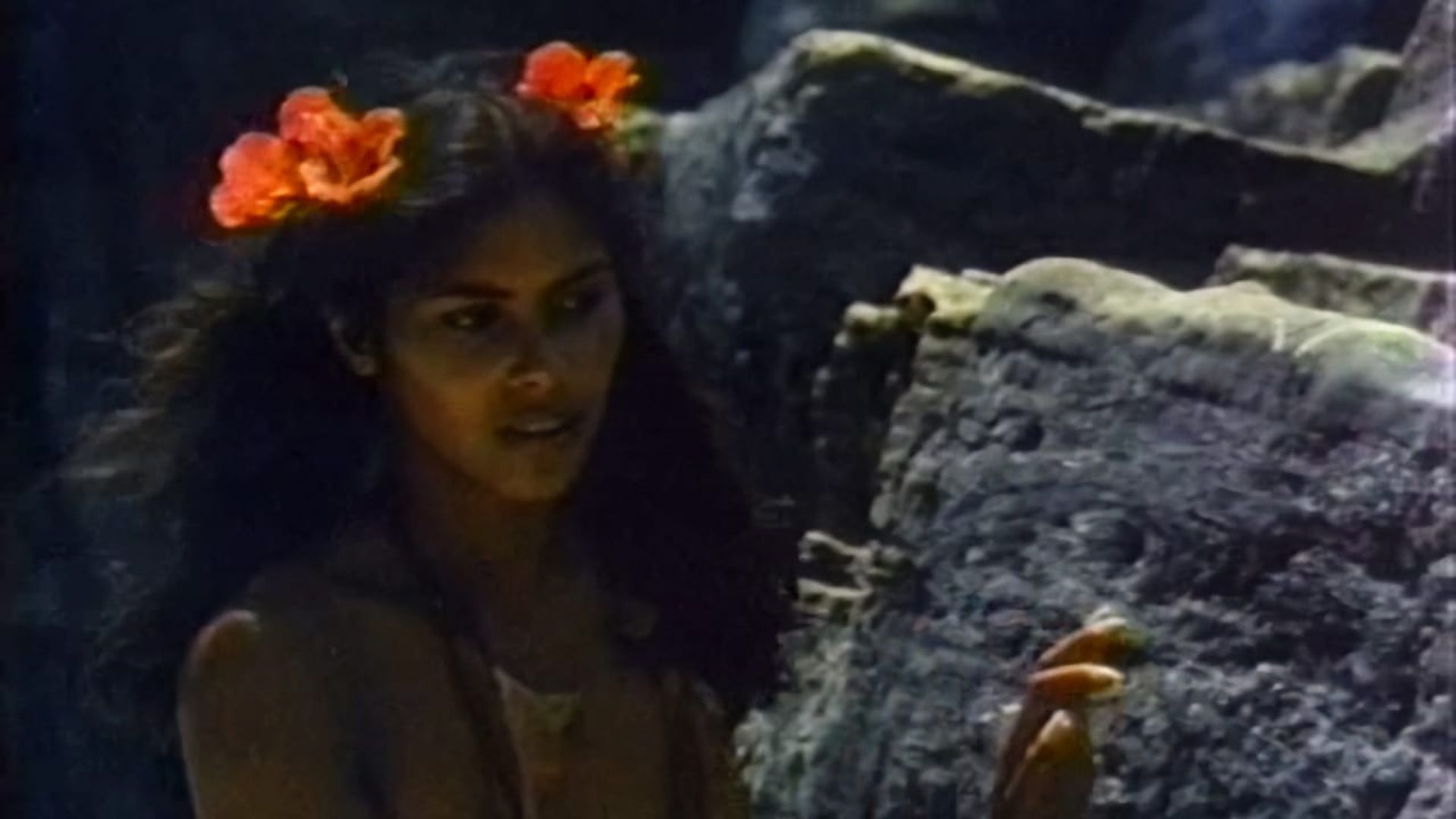 Tanya's Island background