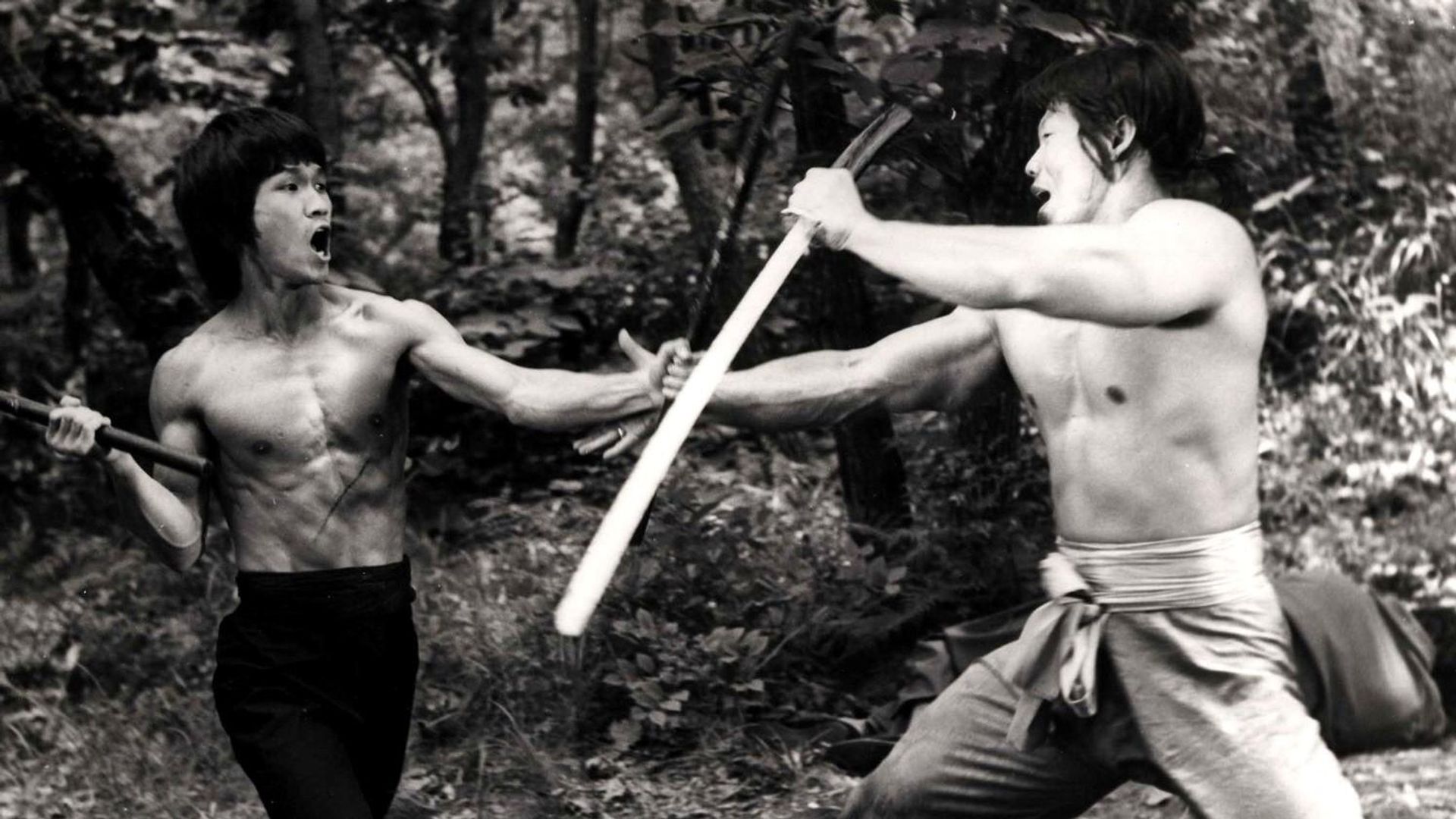 The True Game of Death background