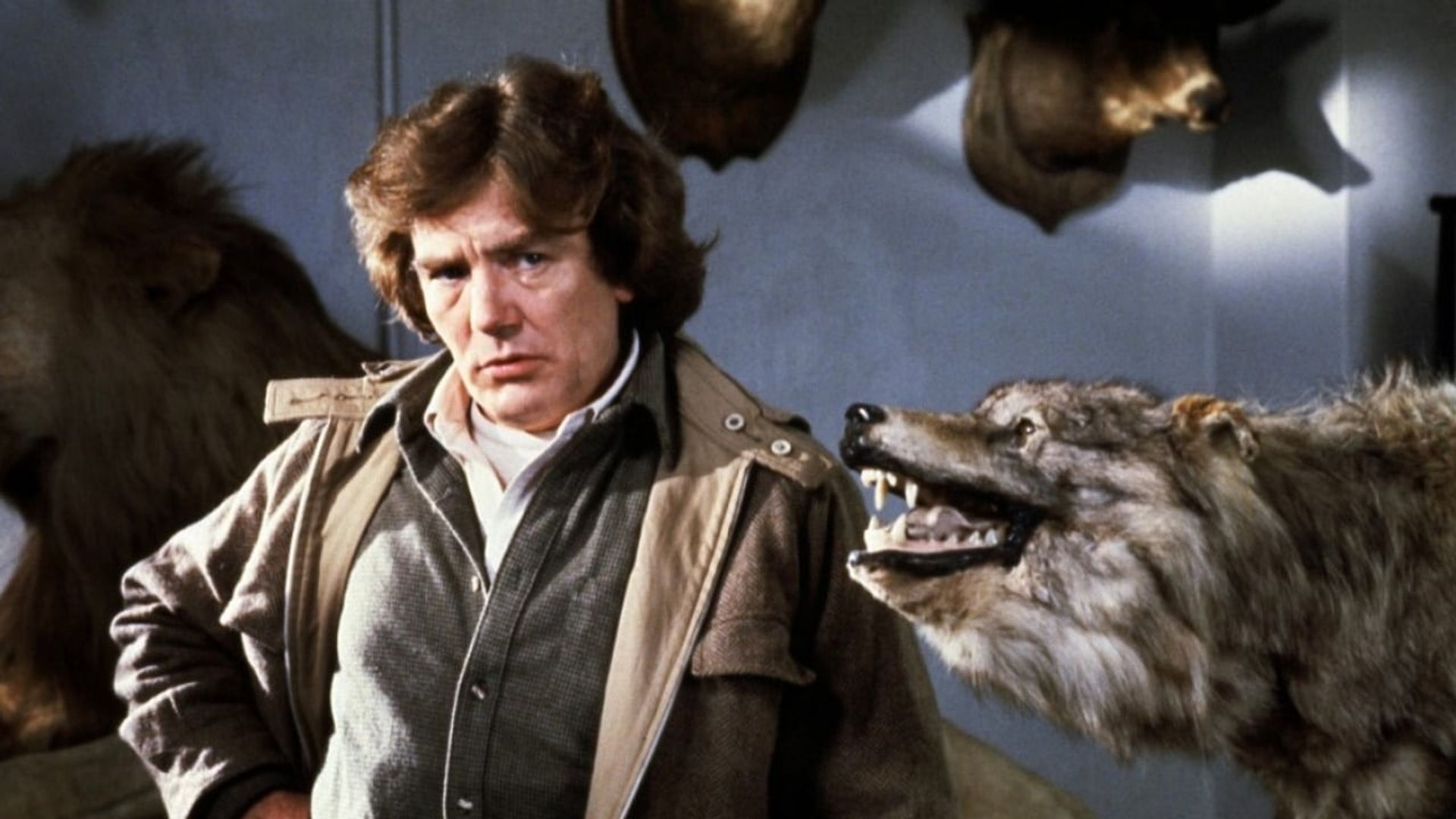 Wolfen background