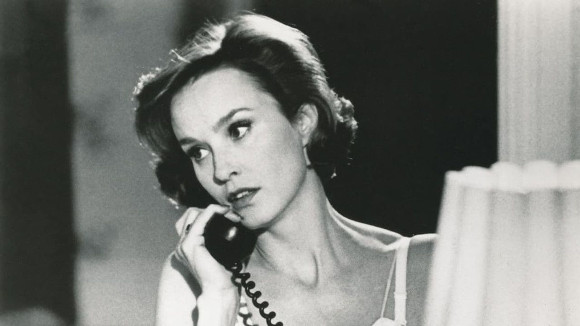 Cat on a Hot Tin Roof background