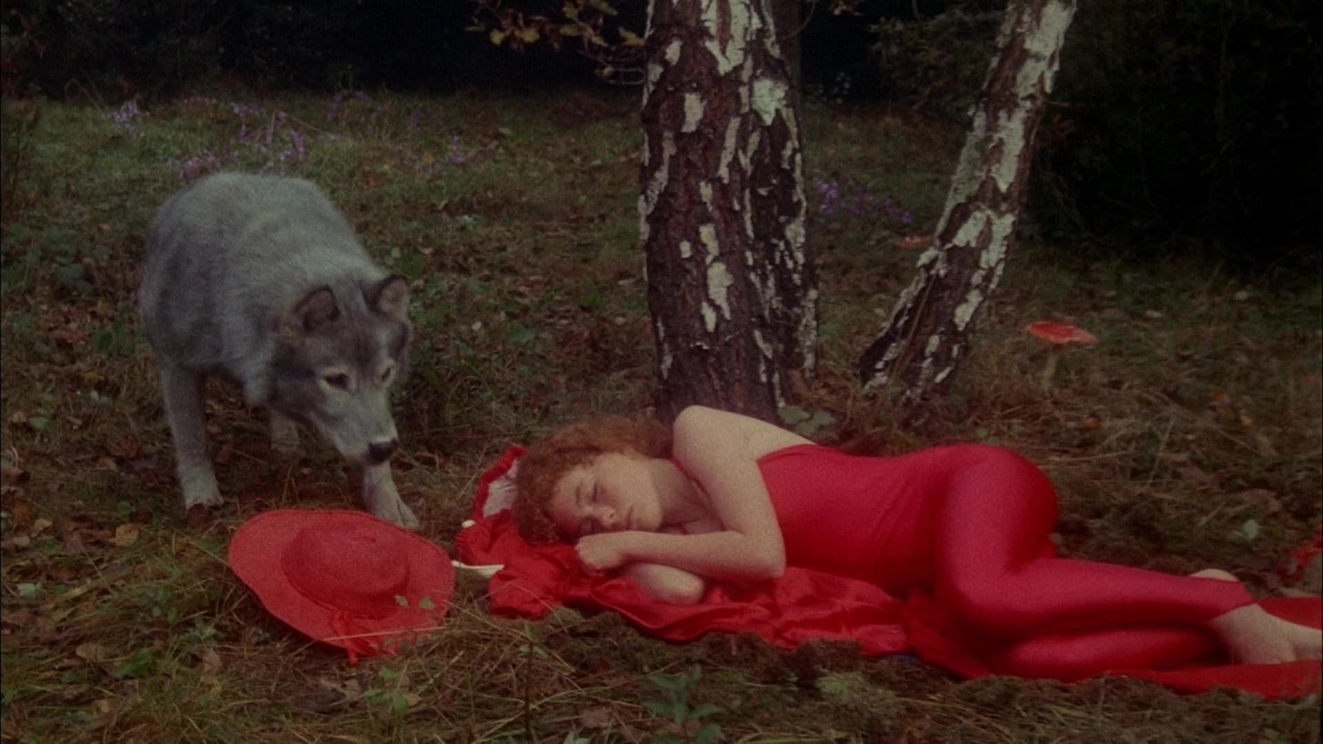Bye bye chaperon rouge background