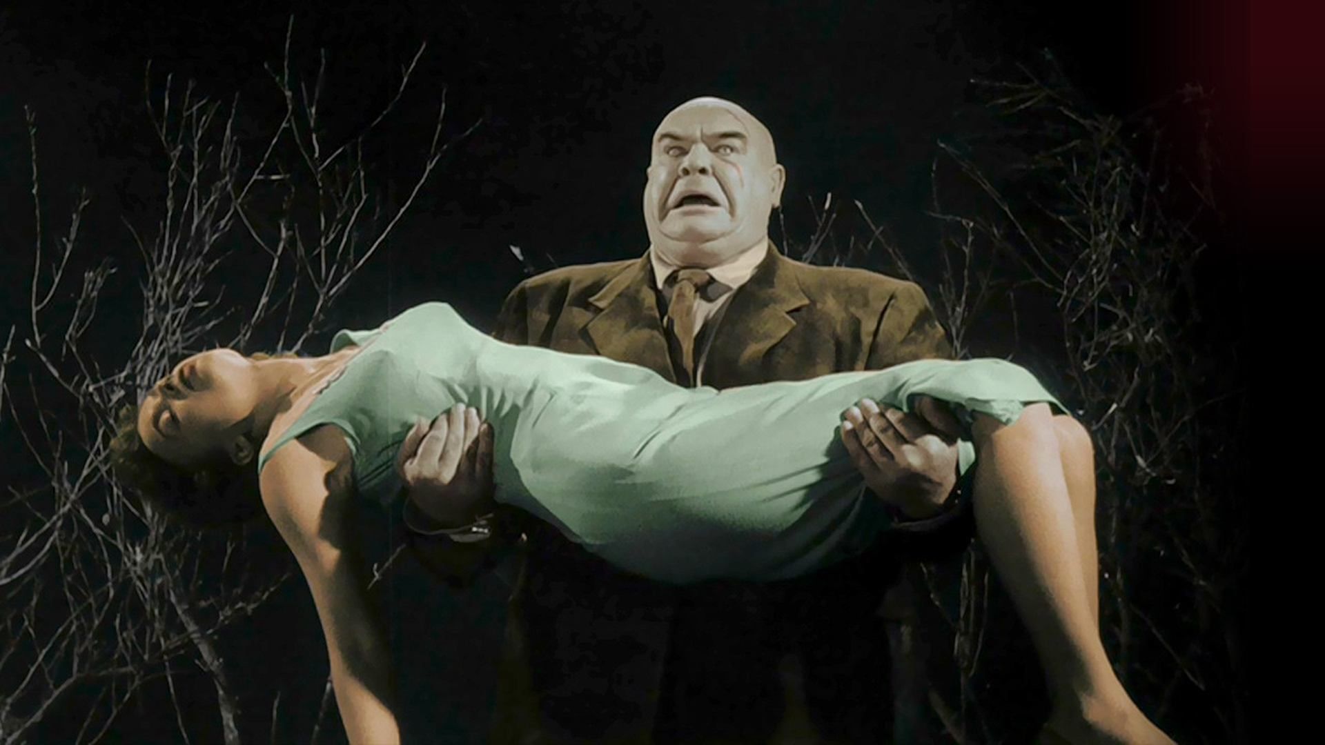 Flying Saucers Over Hollywood: The 'Plan 9' Companion background