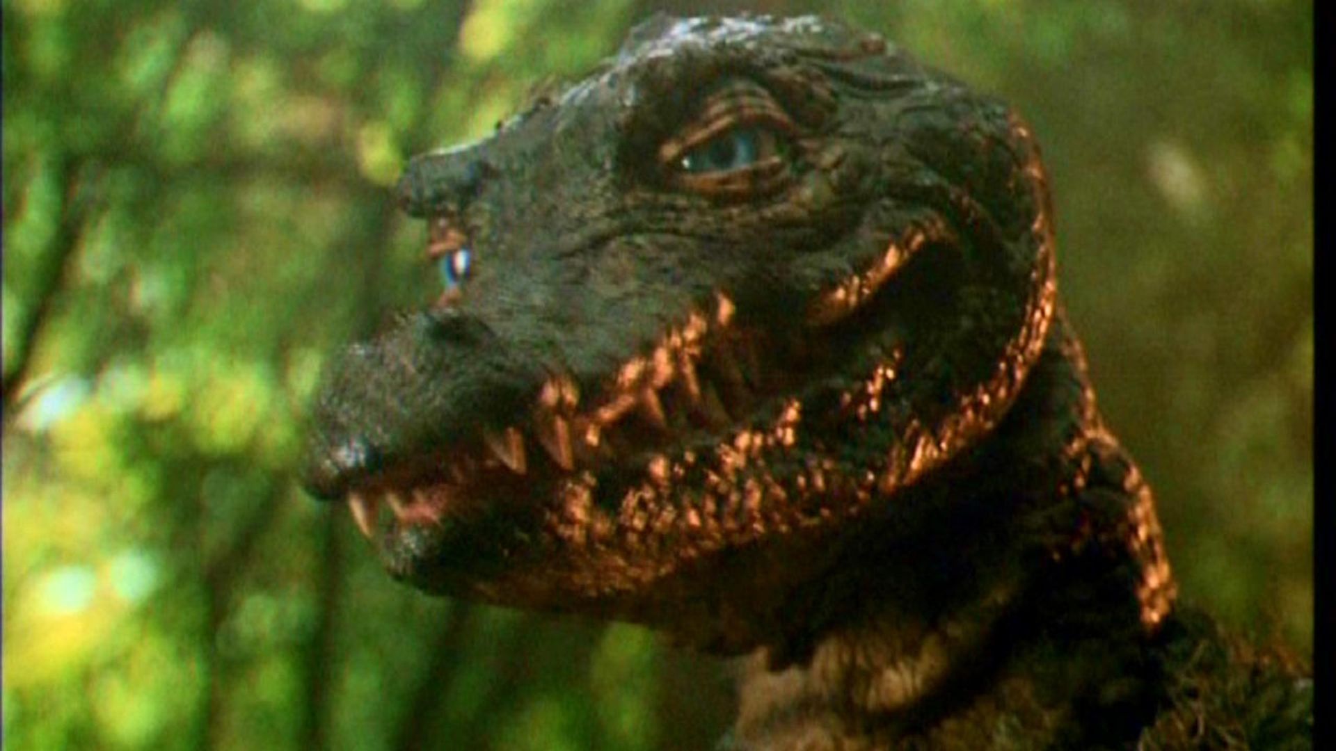 The Legend of Gator Face background