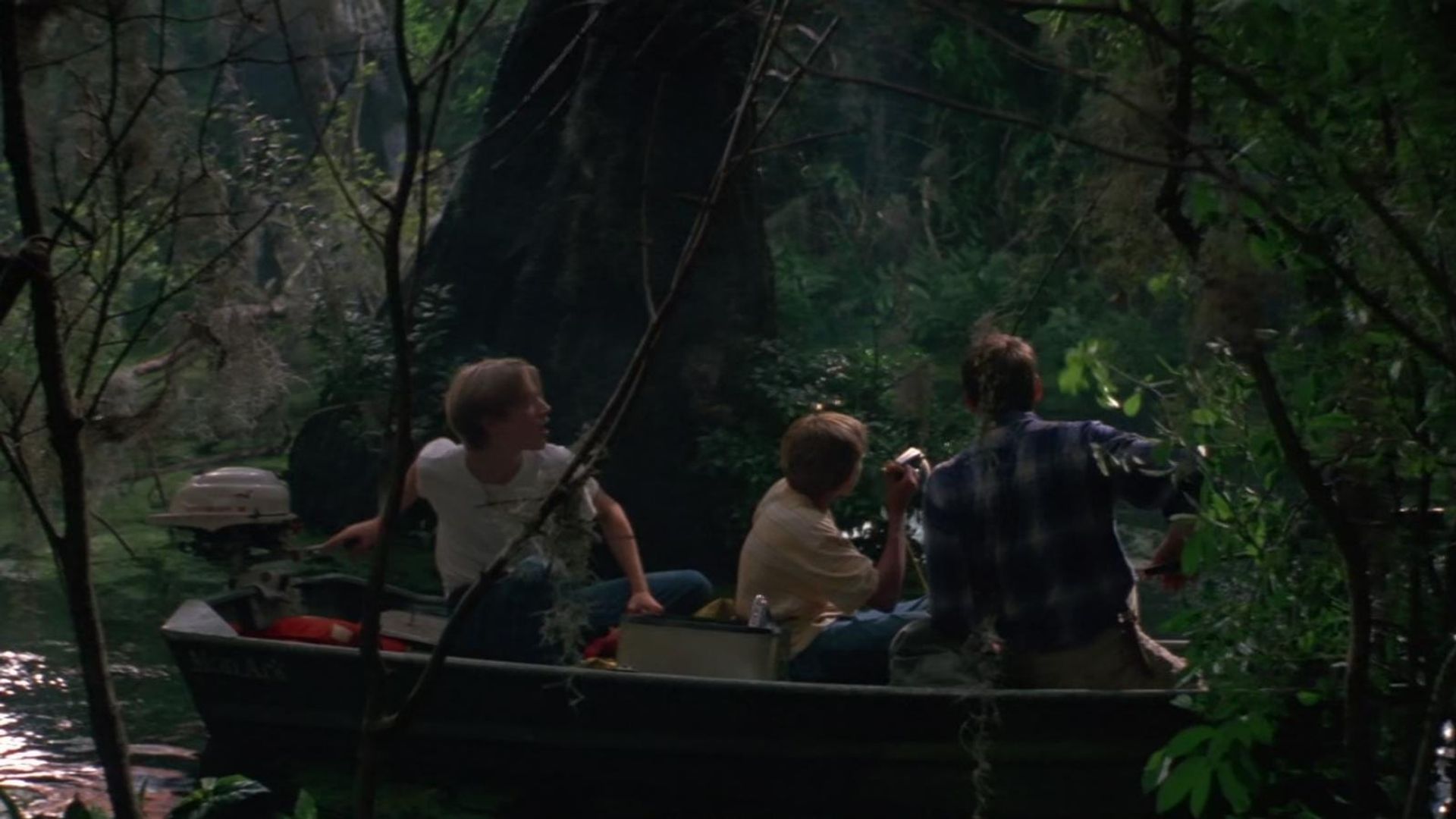 Wild America background