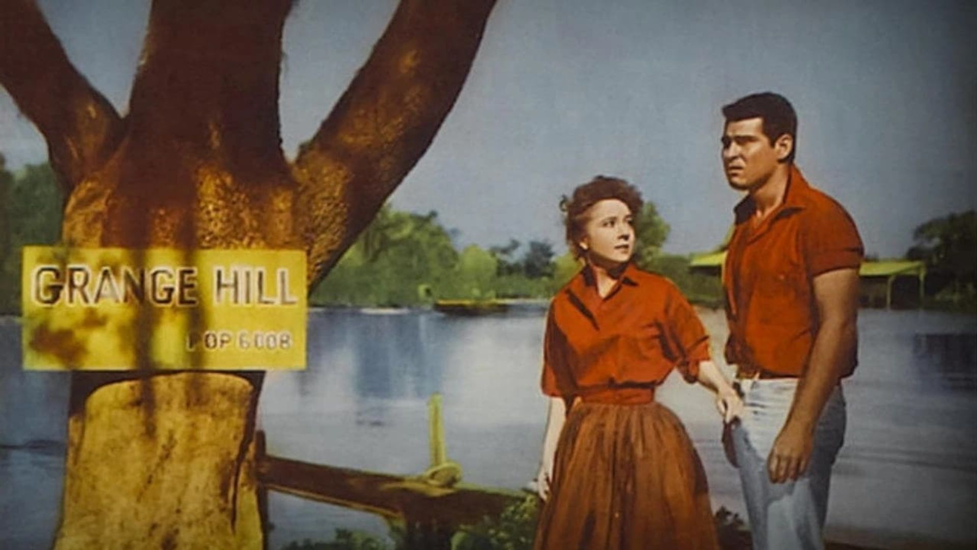 The Louisiana Hussy background
