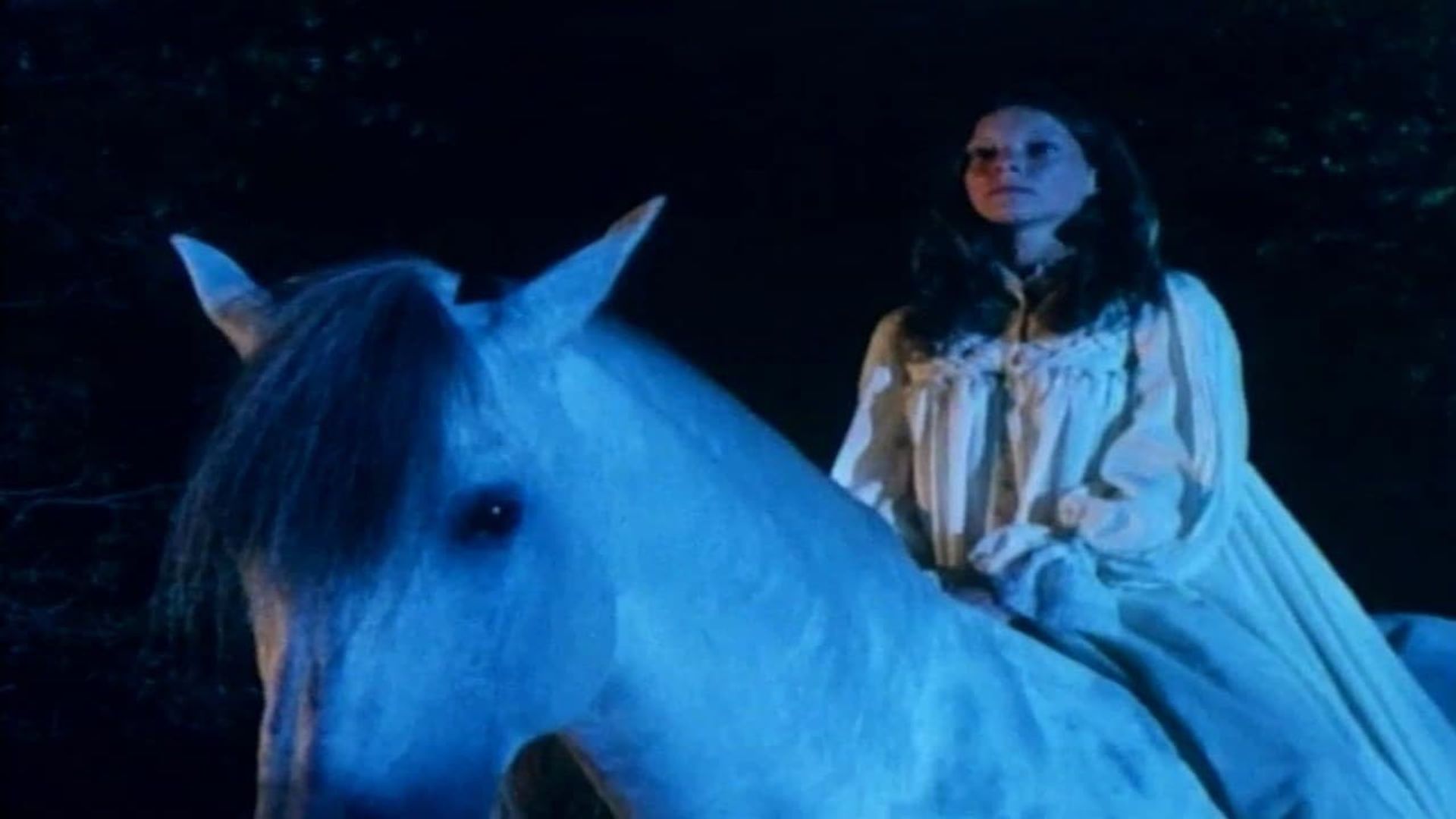 The Moon Stallion background