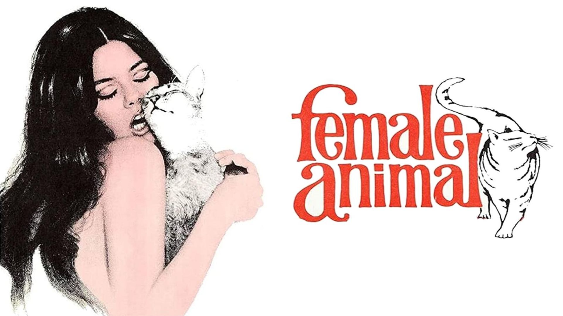 Female Animal background