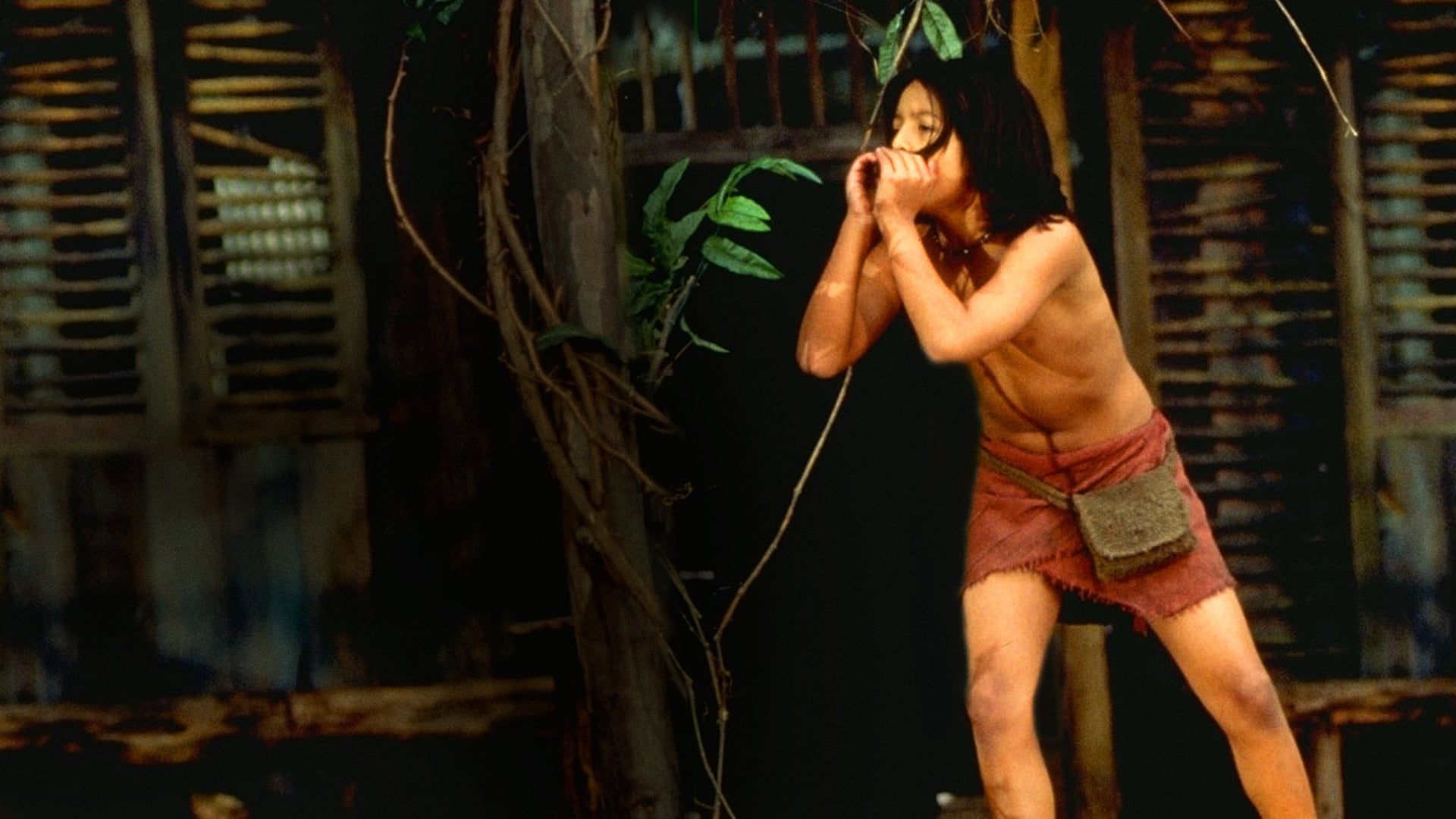 The Jungle Book: Mowgli's Story background