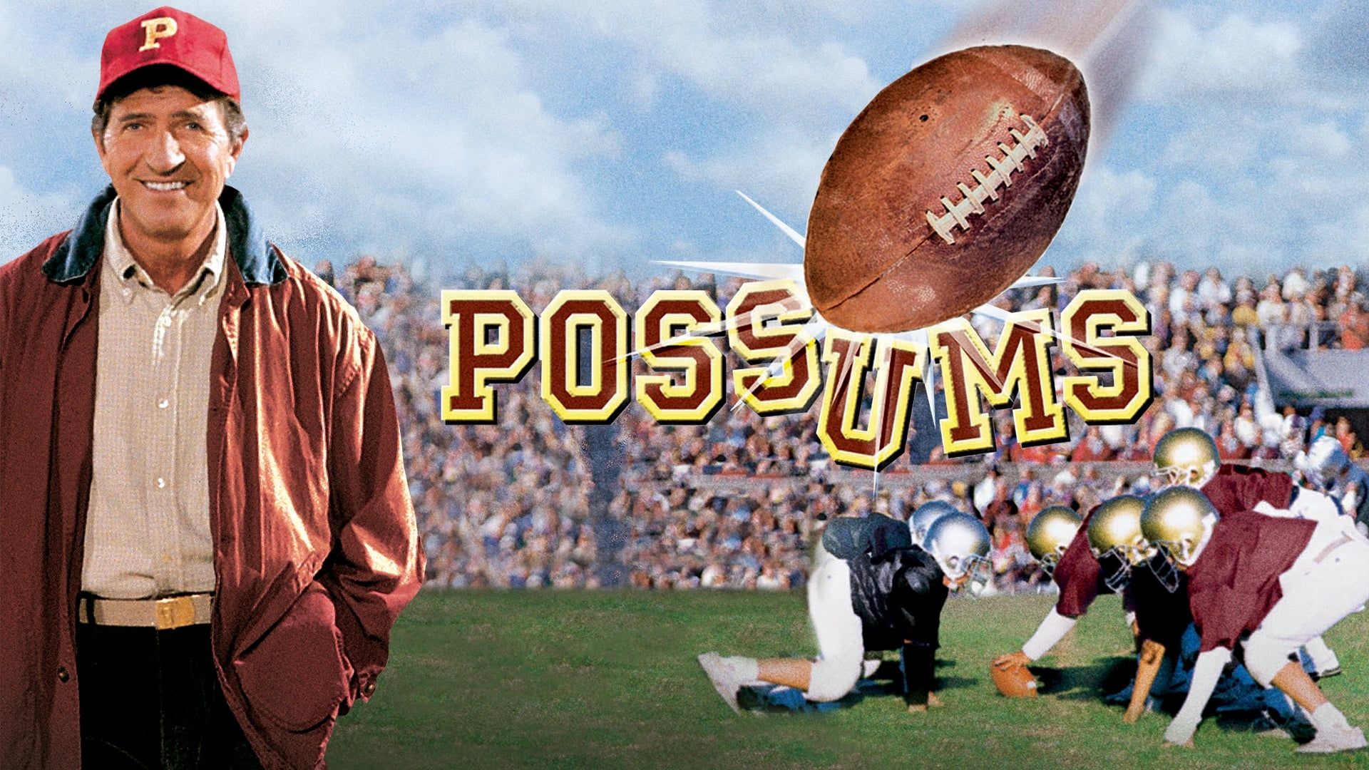 Possums background