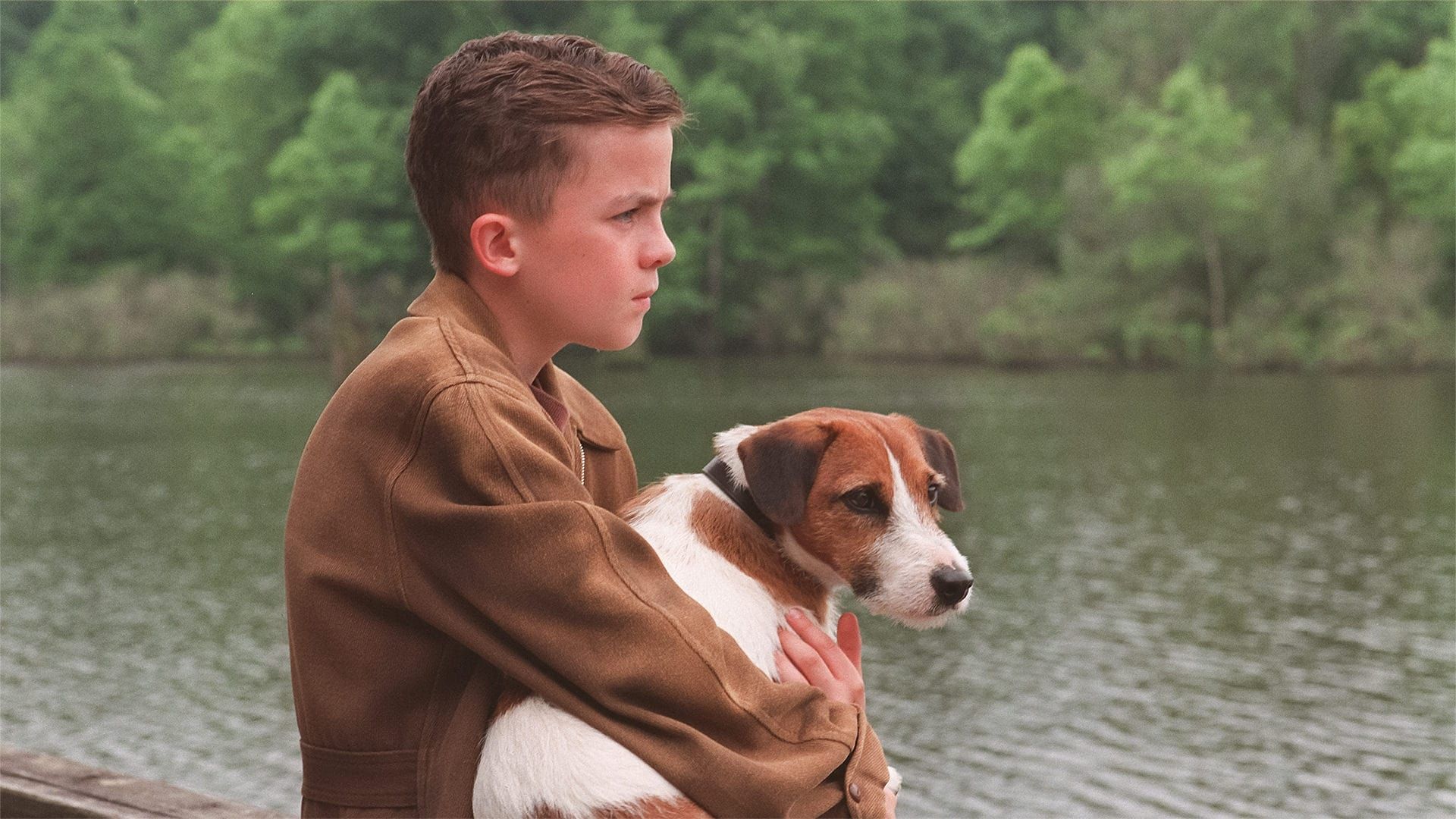 My Dog Skip background