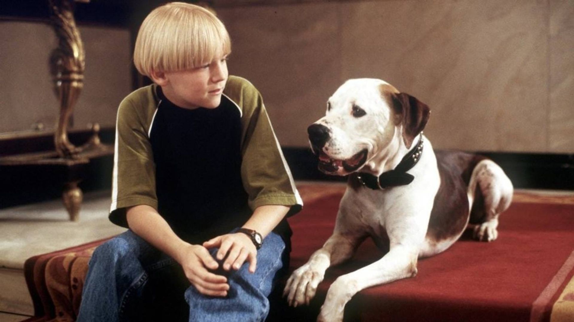 The Pooch and the Pauper background