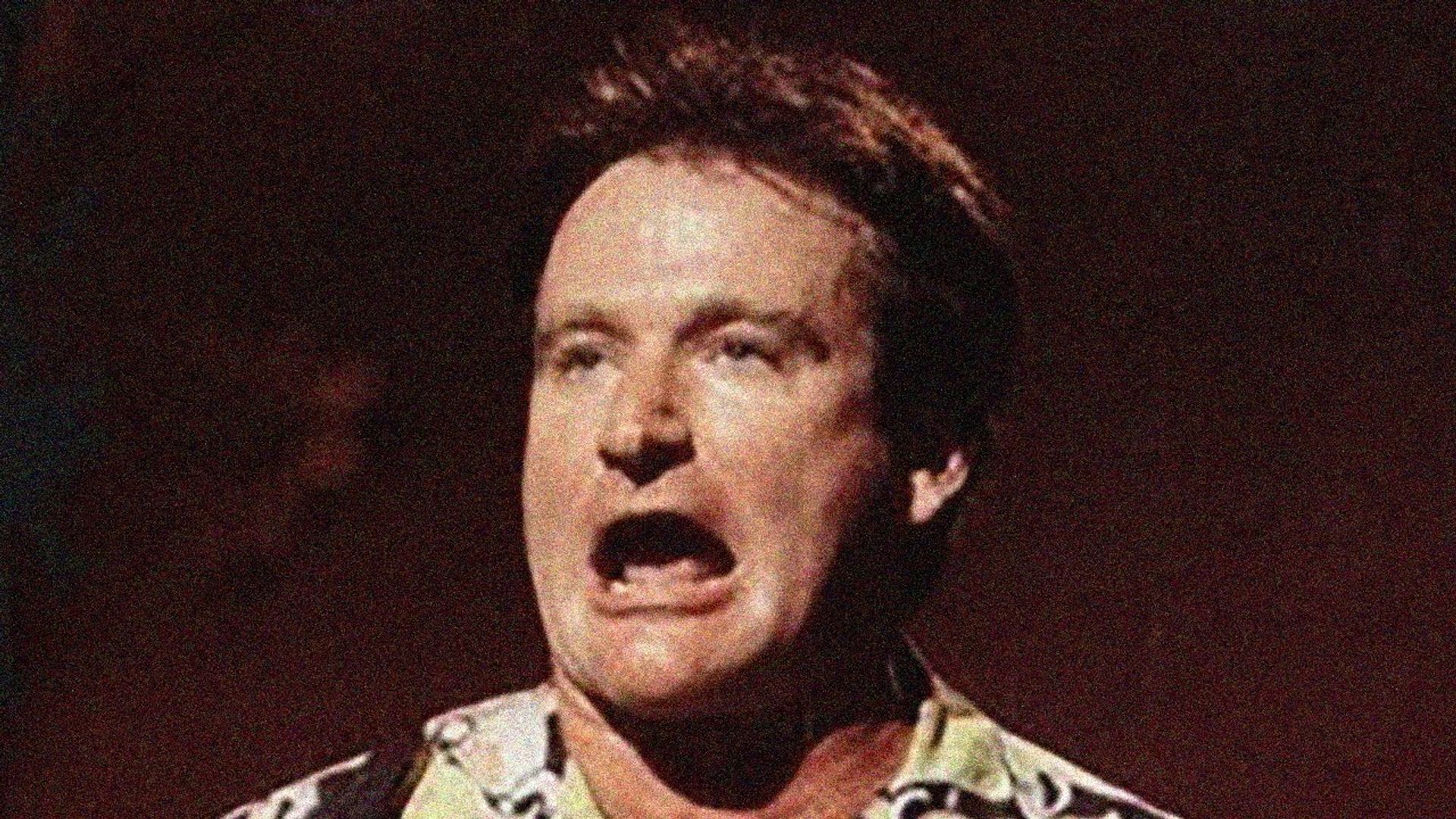 An Evening with Robin Williams background