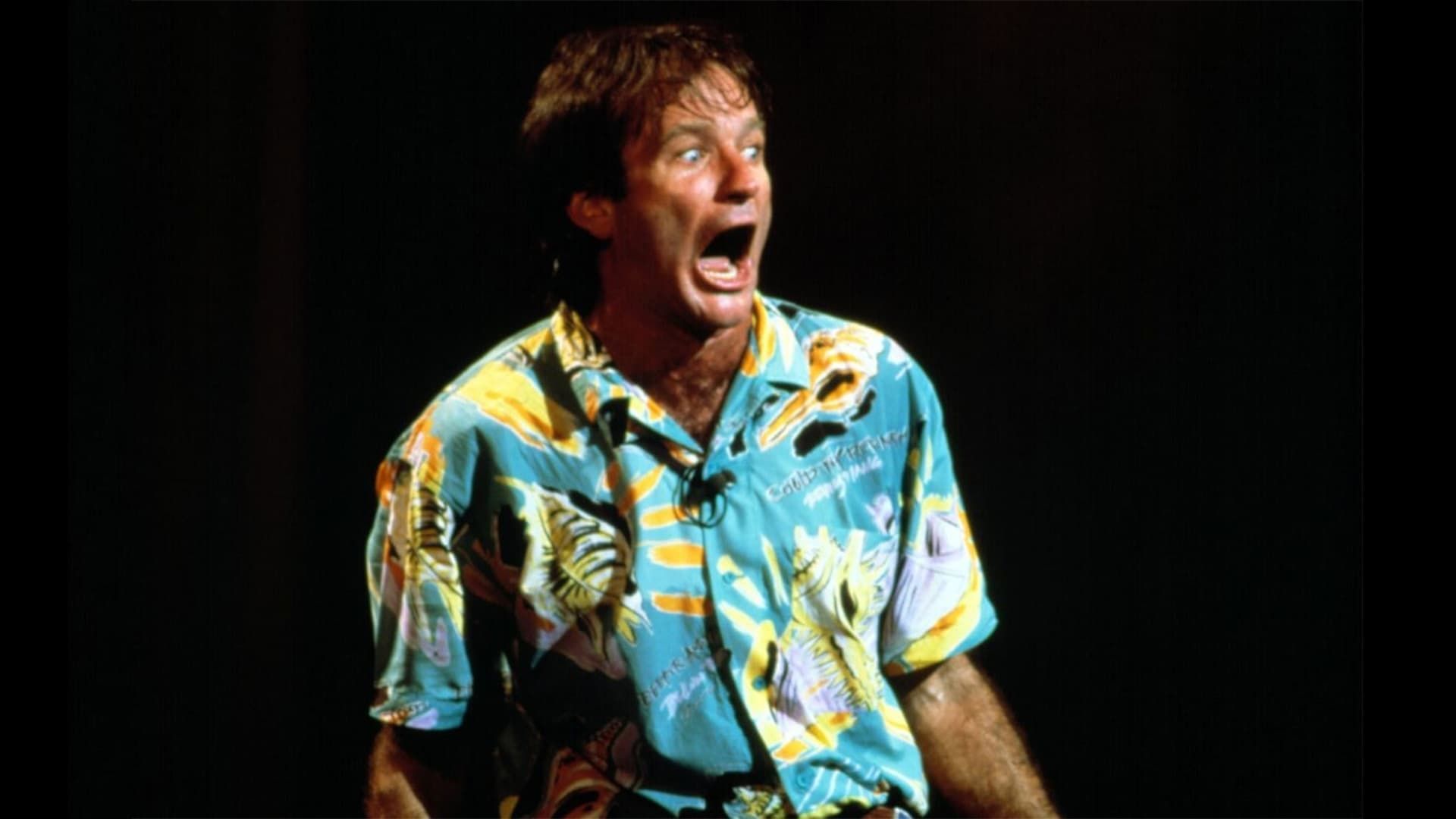 Robin Williams: An Evening at the Met background