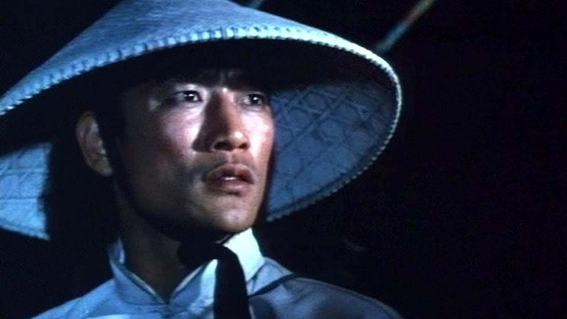 Revenge of the Drunken Master background