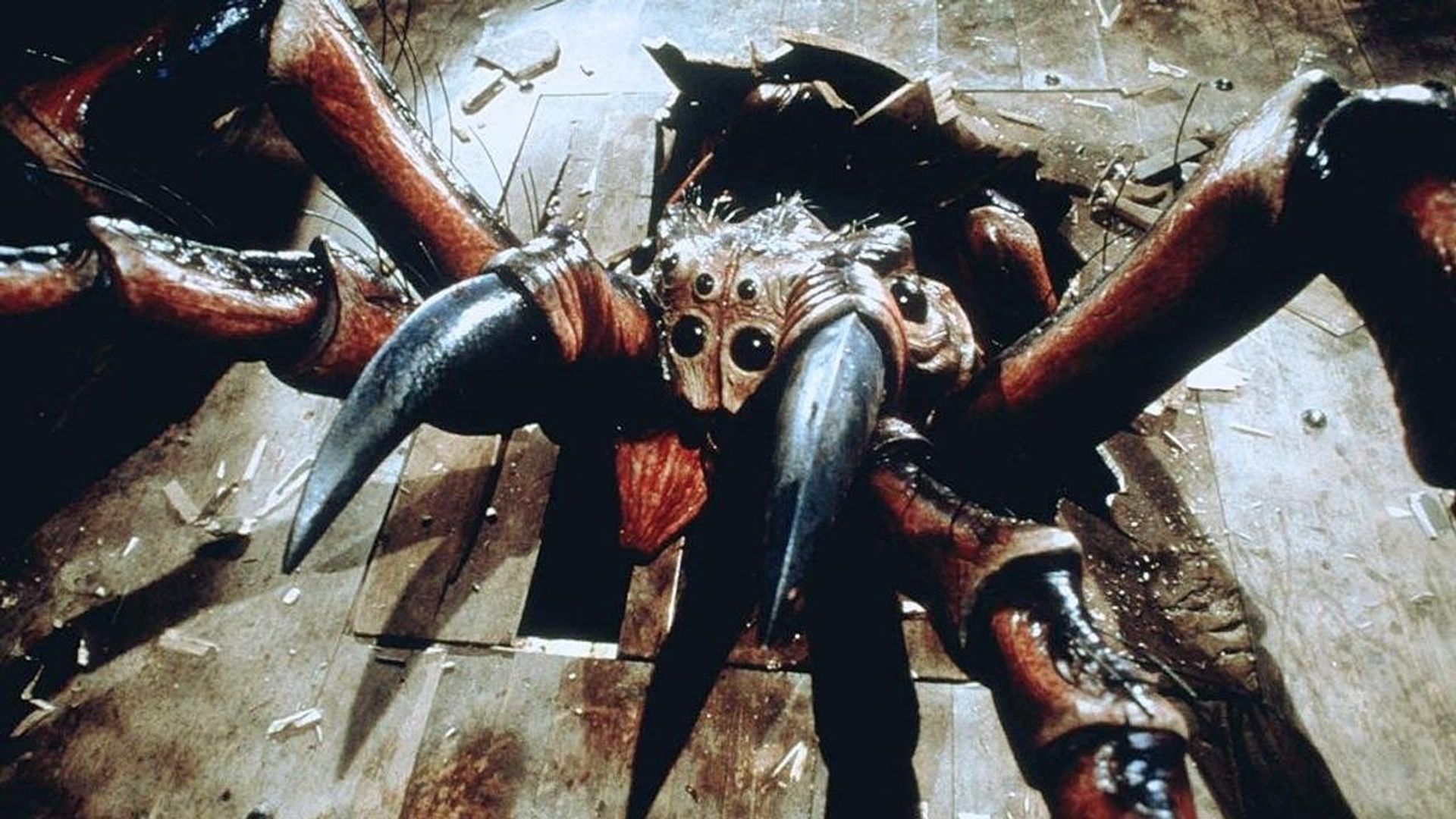 Spiders background