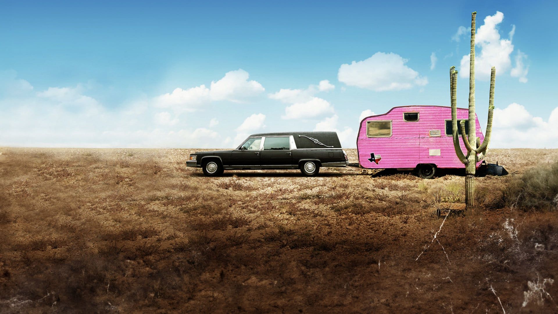 Sordid Lives background