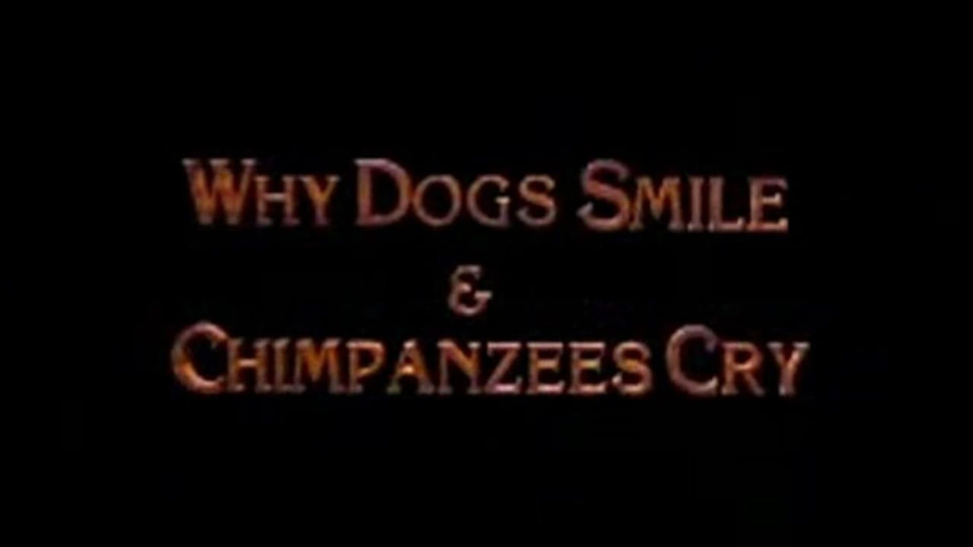 Why Dogs Smile & Chimpanzees Cry background