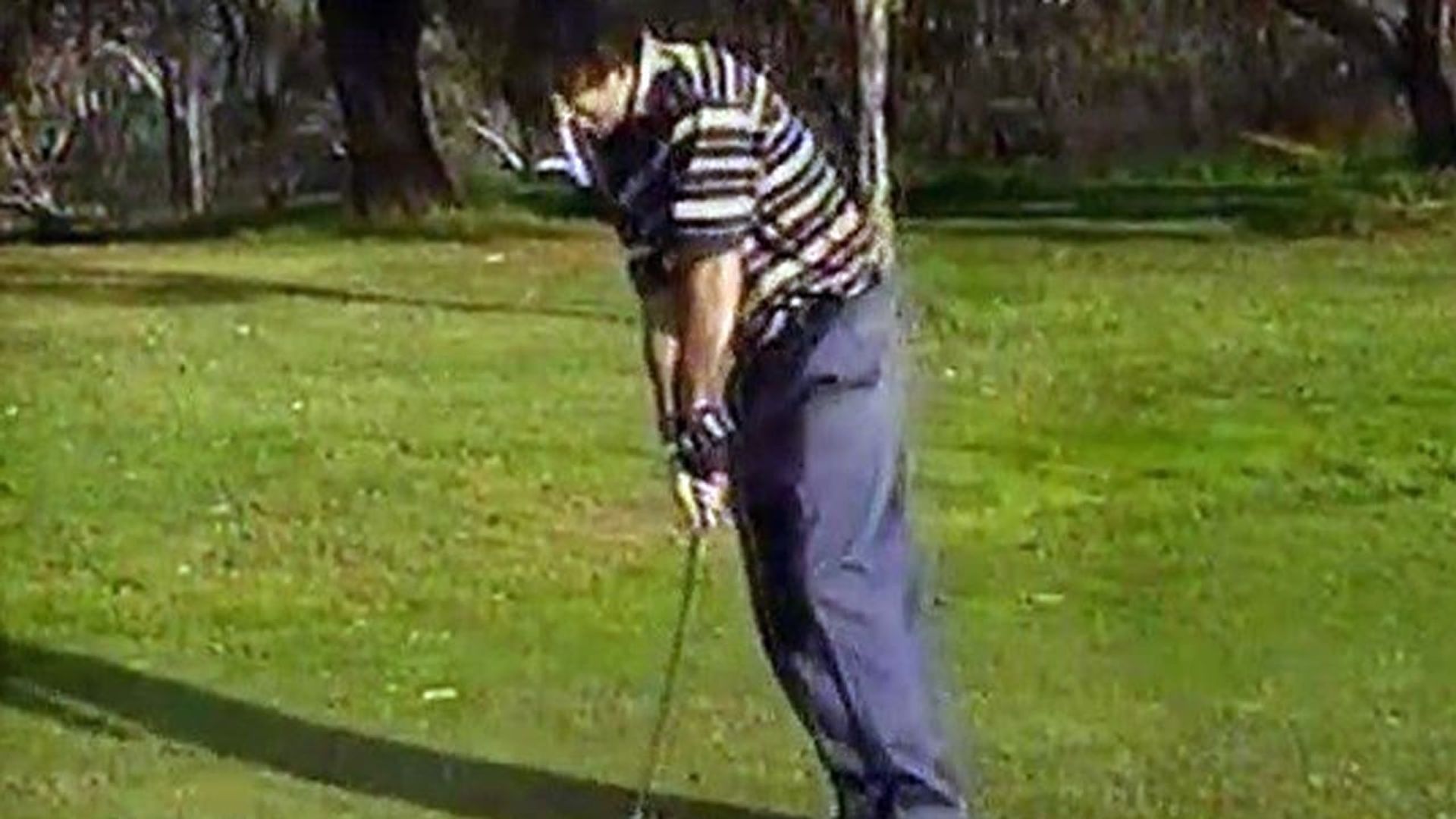 Shonky Golf background