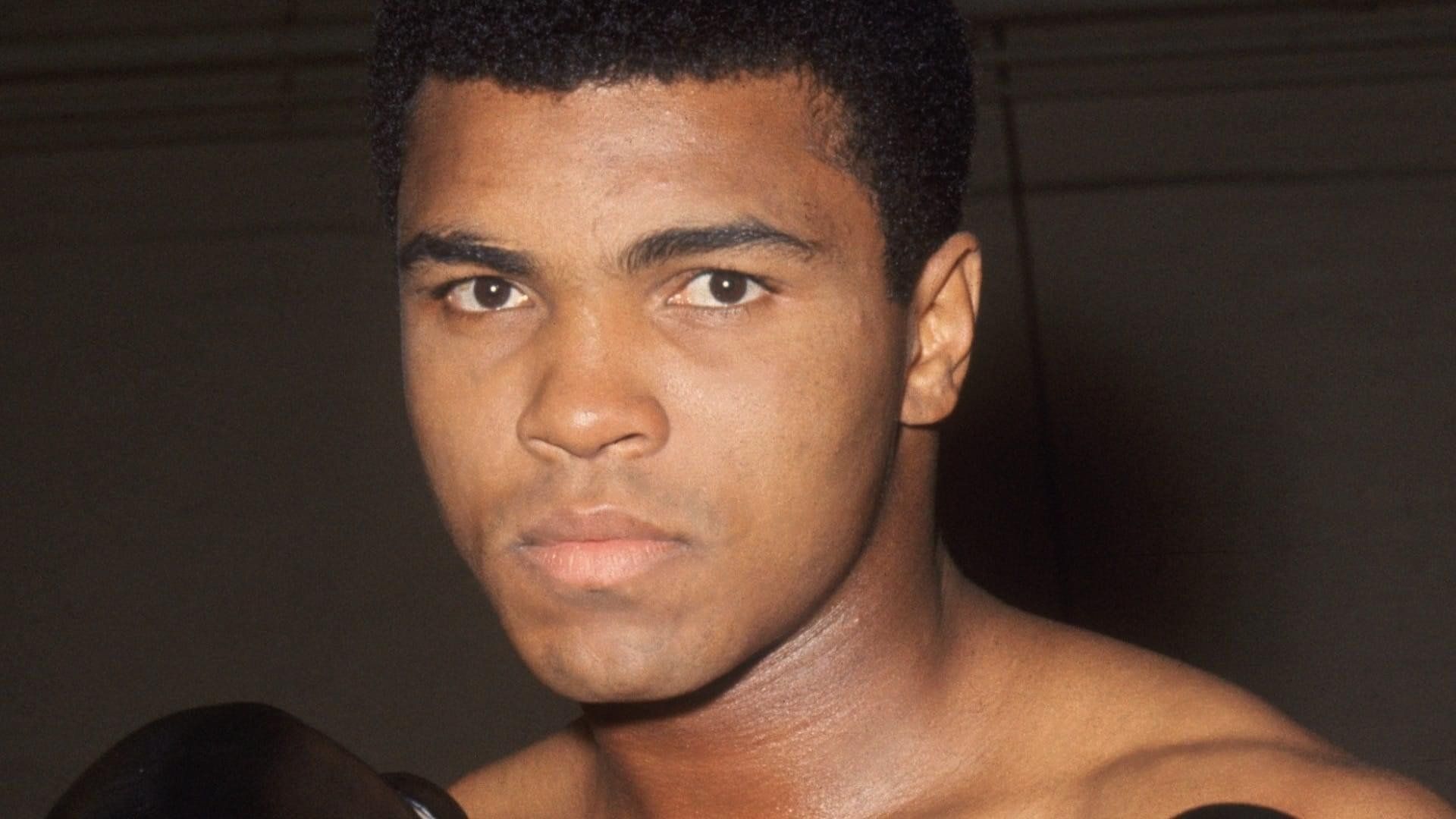 Float Like a Butterfly, Sting Like a Bee background