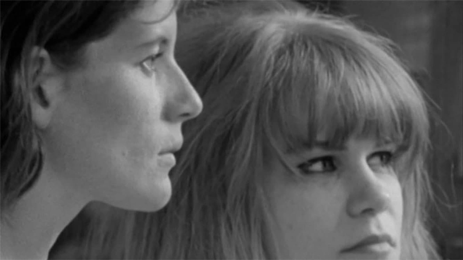 Notes for a Film About Donna & Gail background