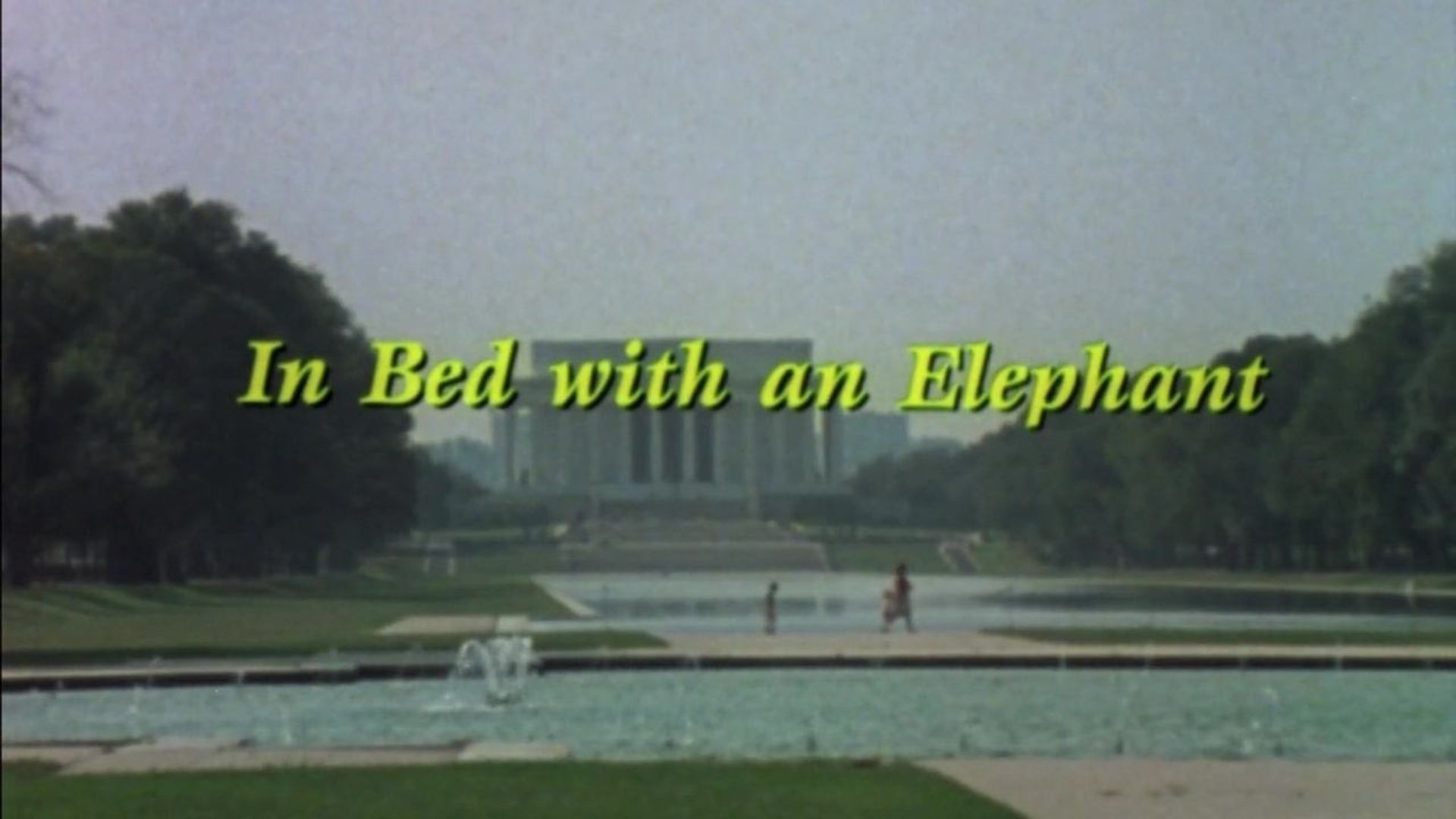 In Bed with an Elephant background