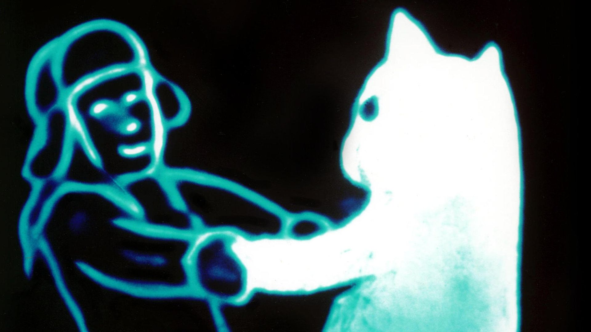 Snow Cat background