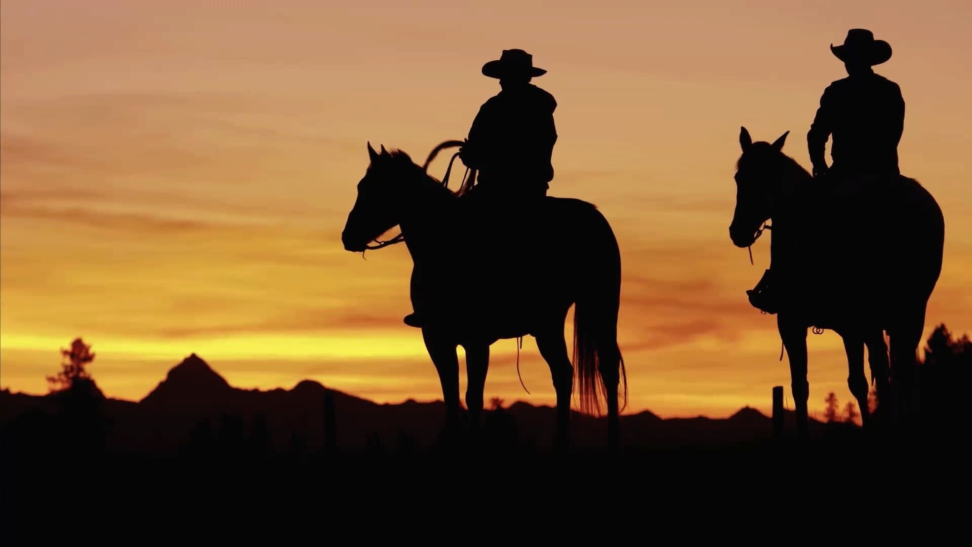 The Cowboy background