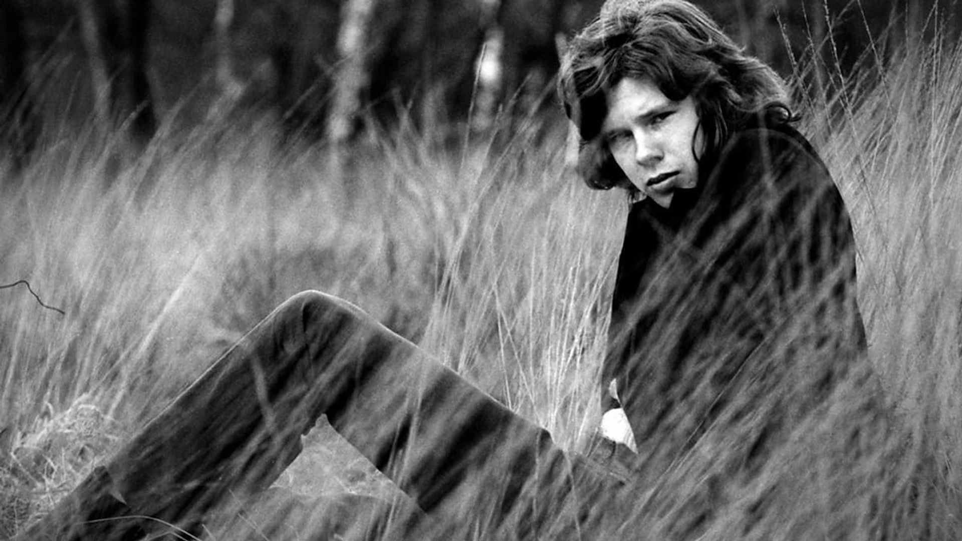 A Skin Too Few: The Days of Nick Drake background