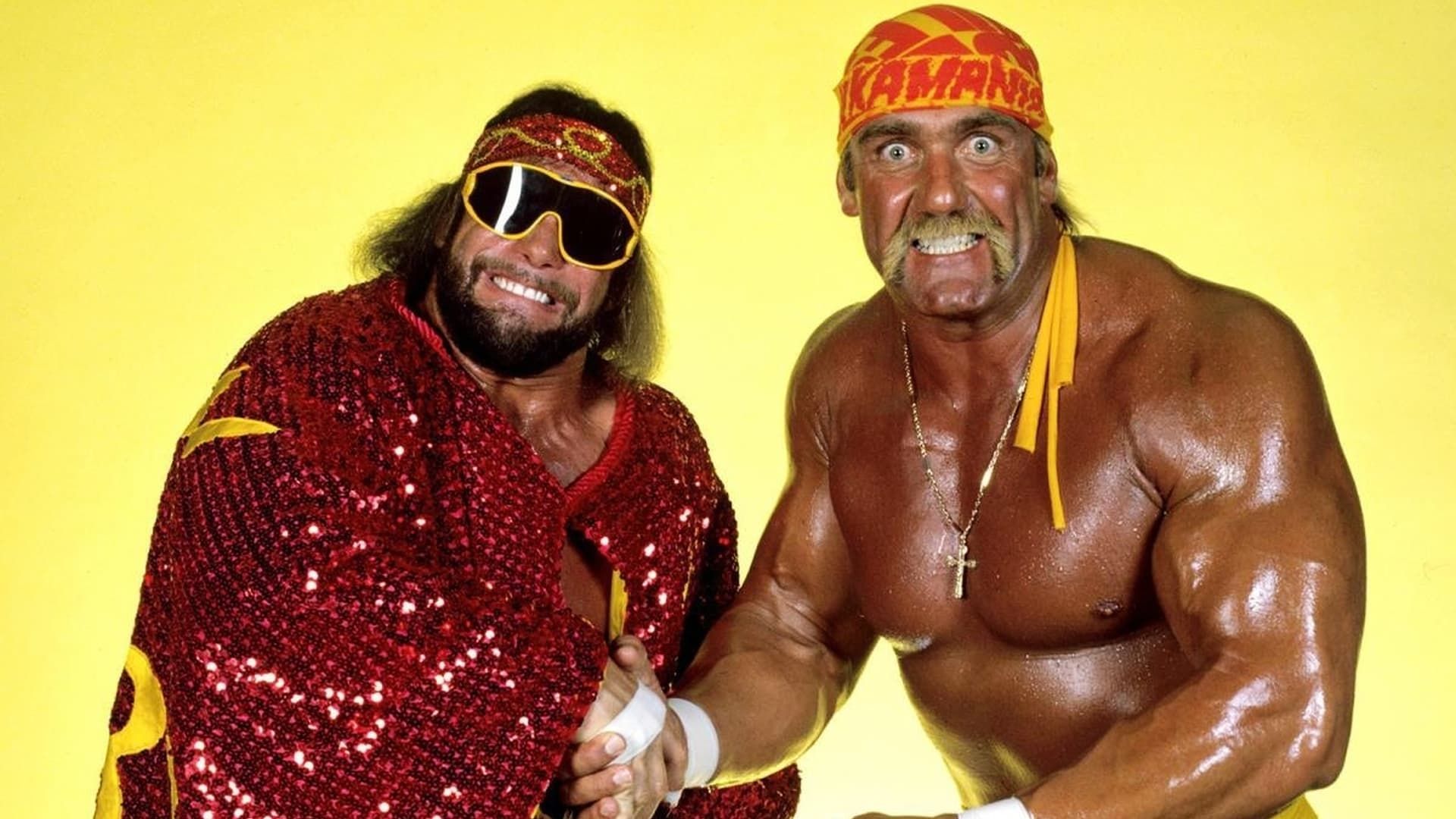 Survivor Series background