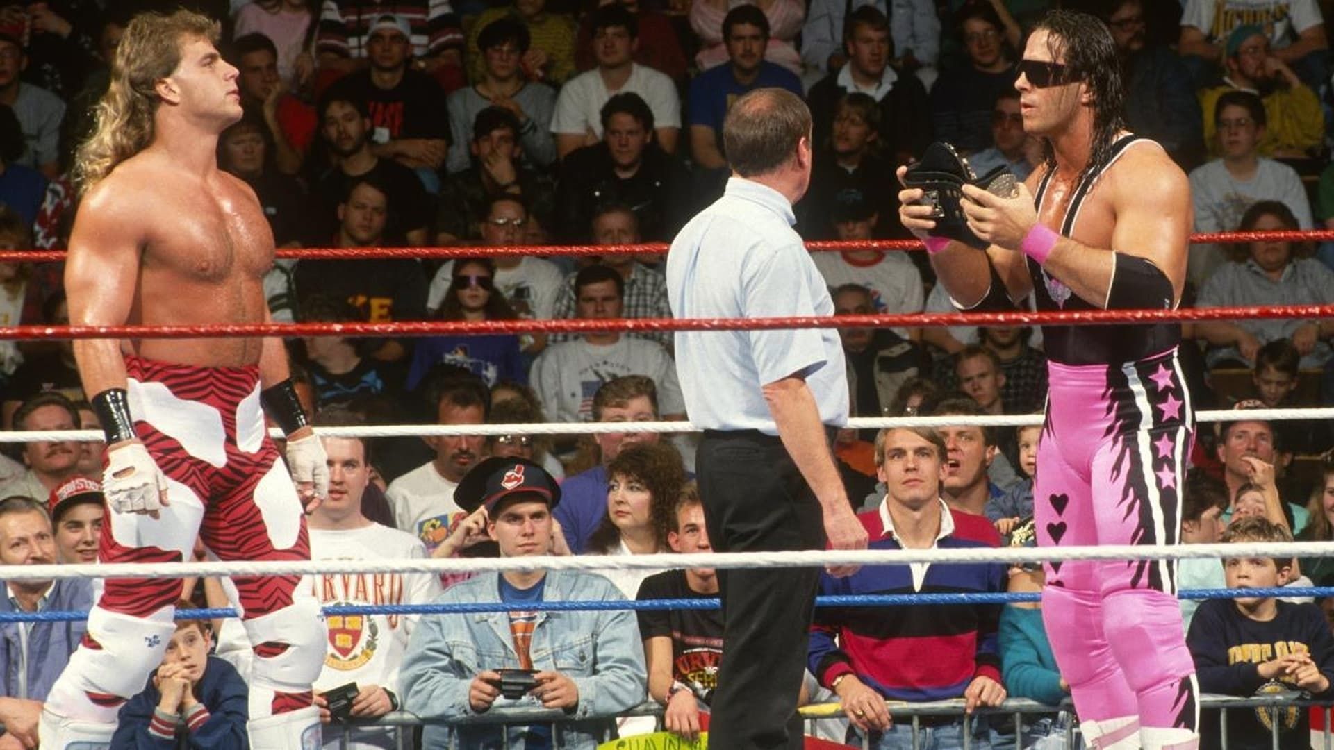 Survivor Series background