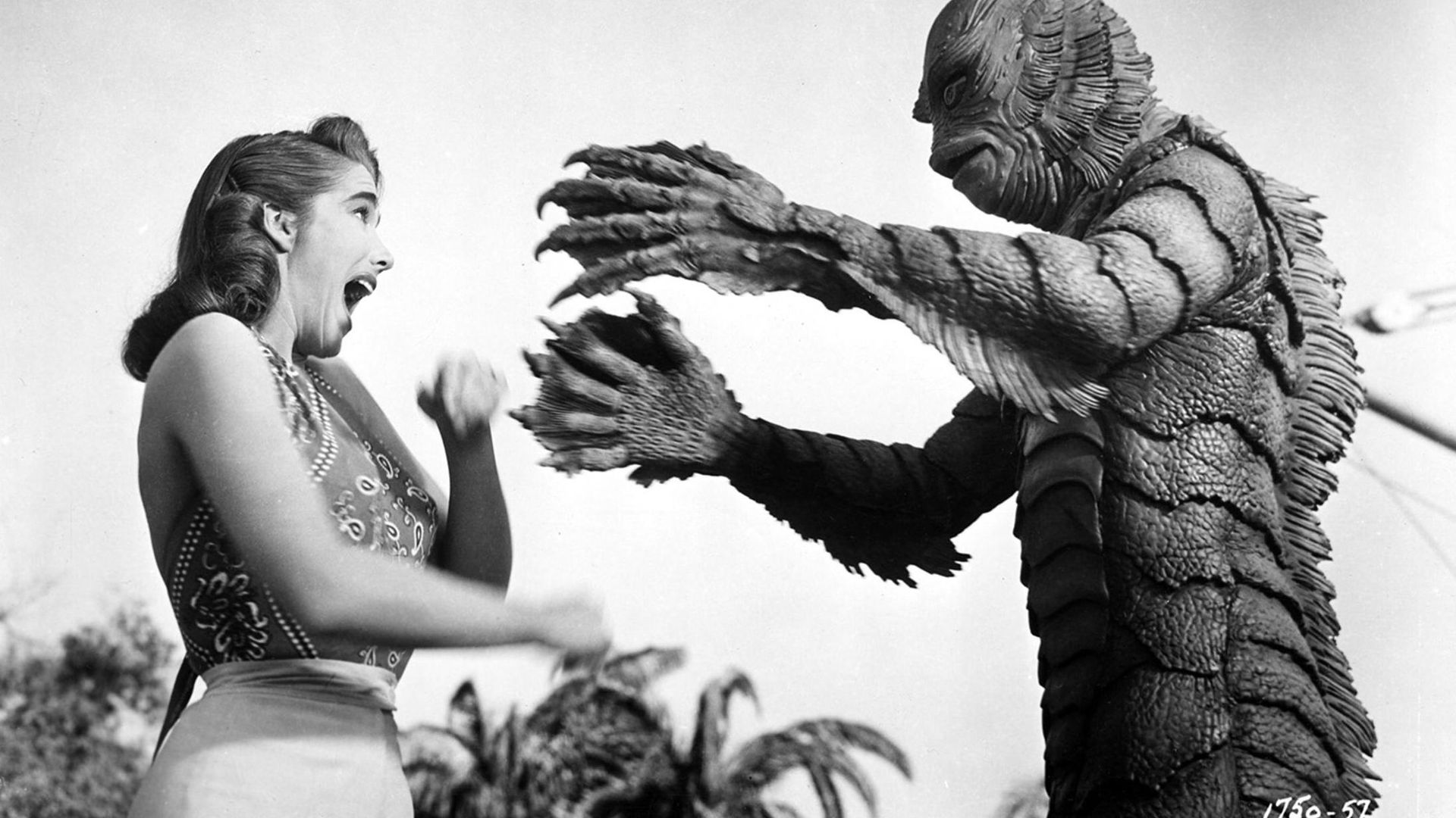 Back to the Black Lagoon: A Creature Chronicle background