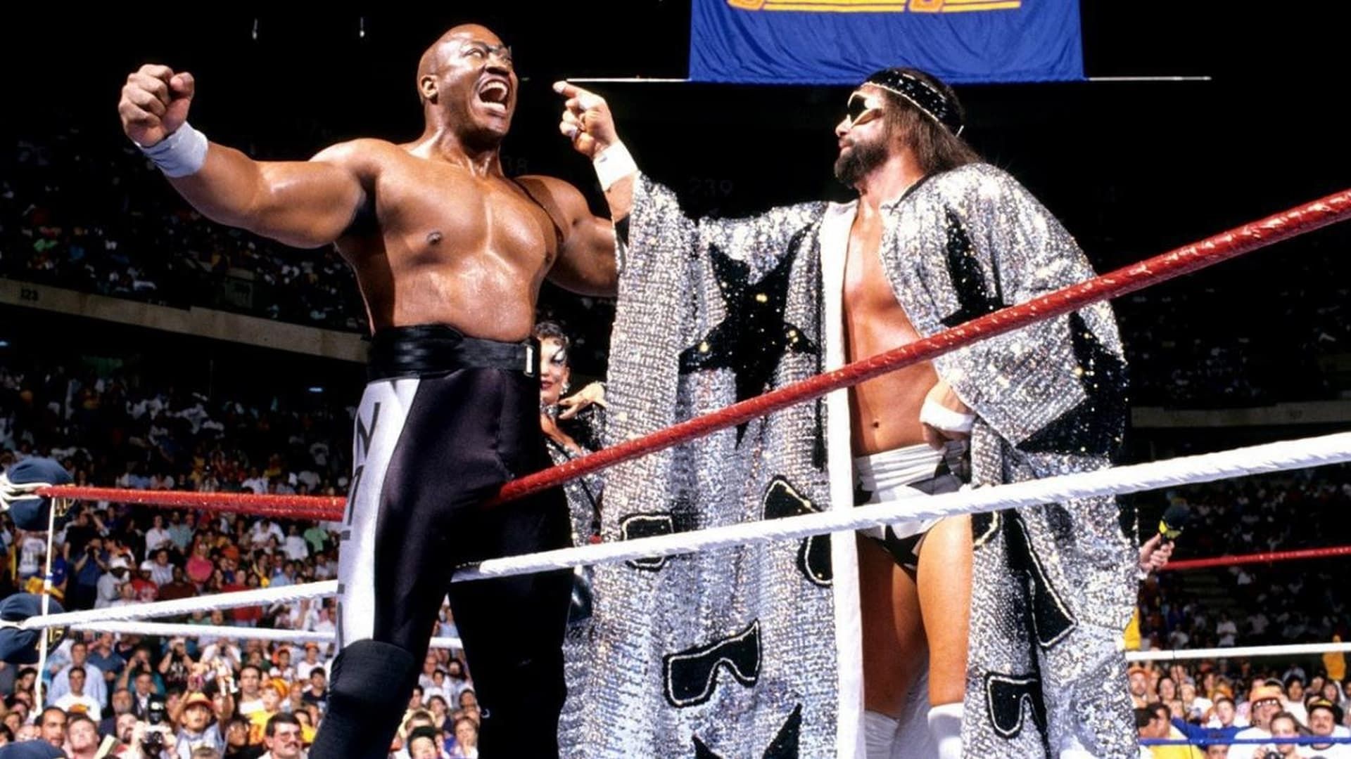 Summerslam background