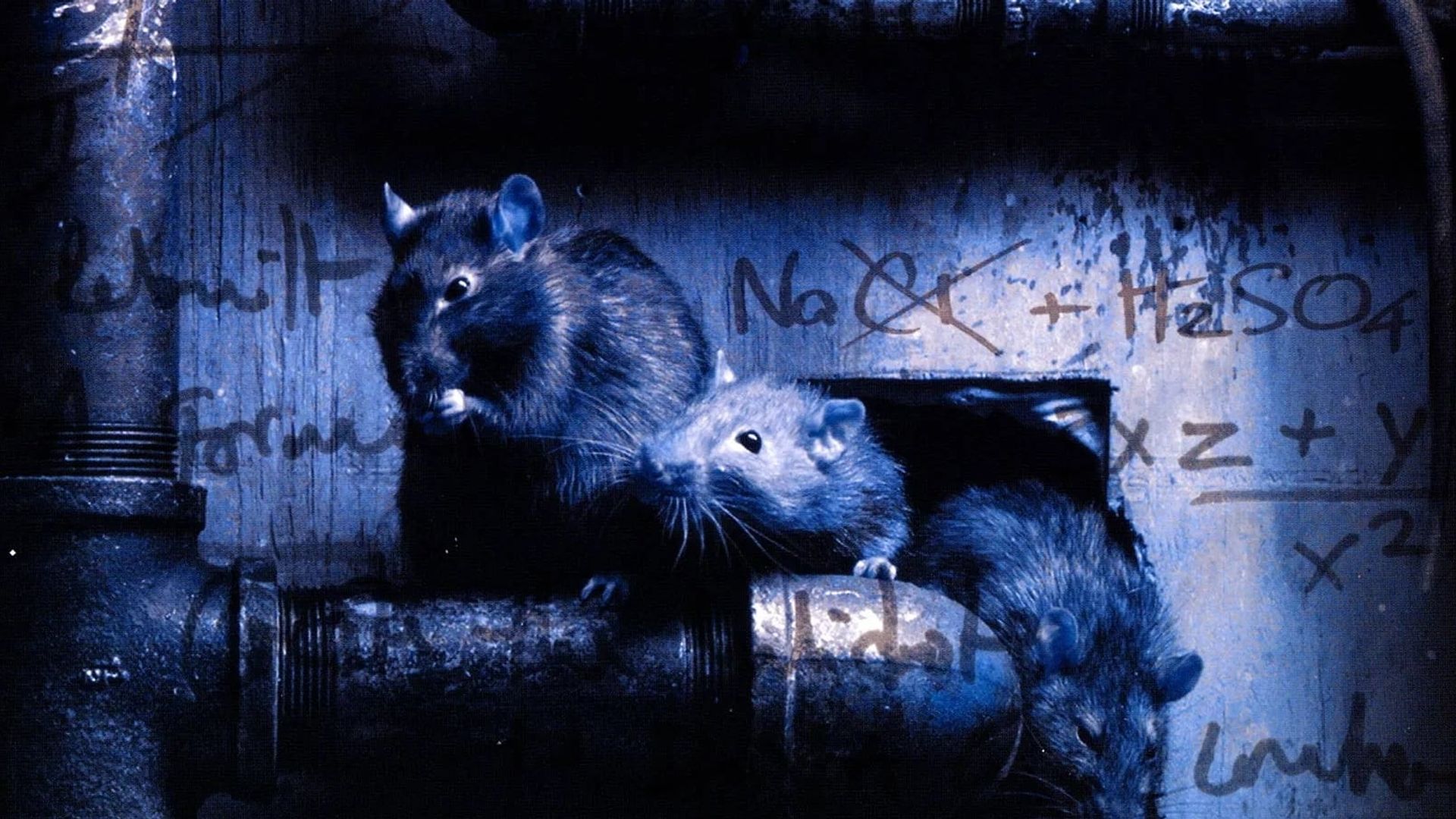 Altered Species background