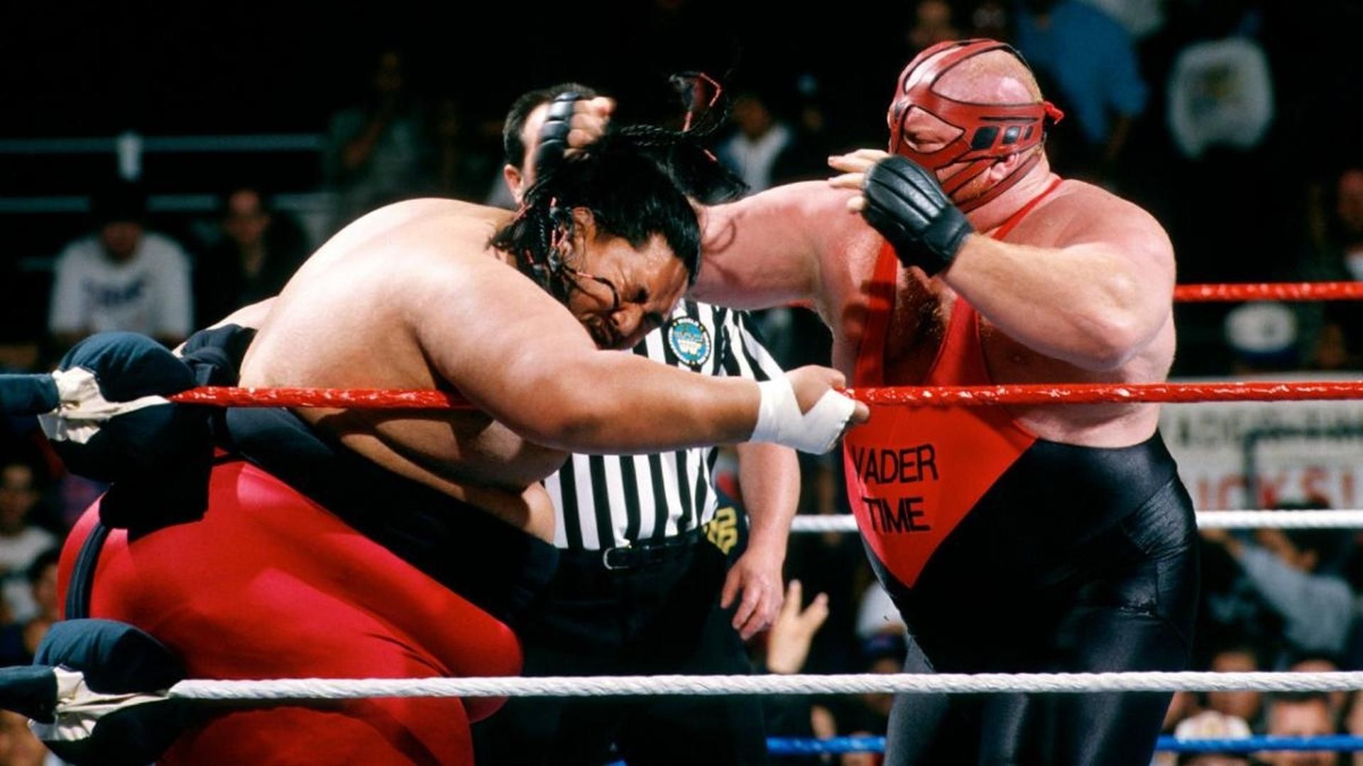 WWF in Your House: Beware of Dog background