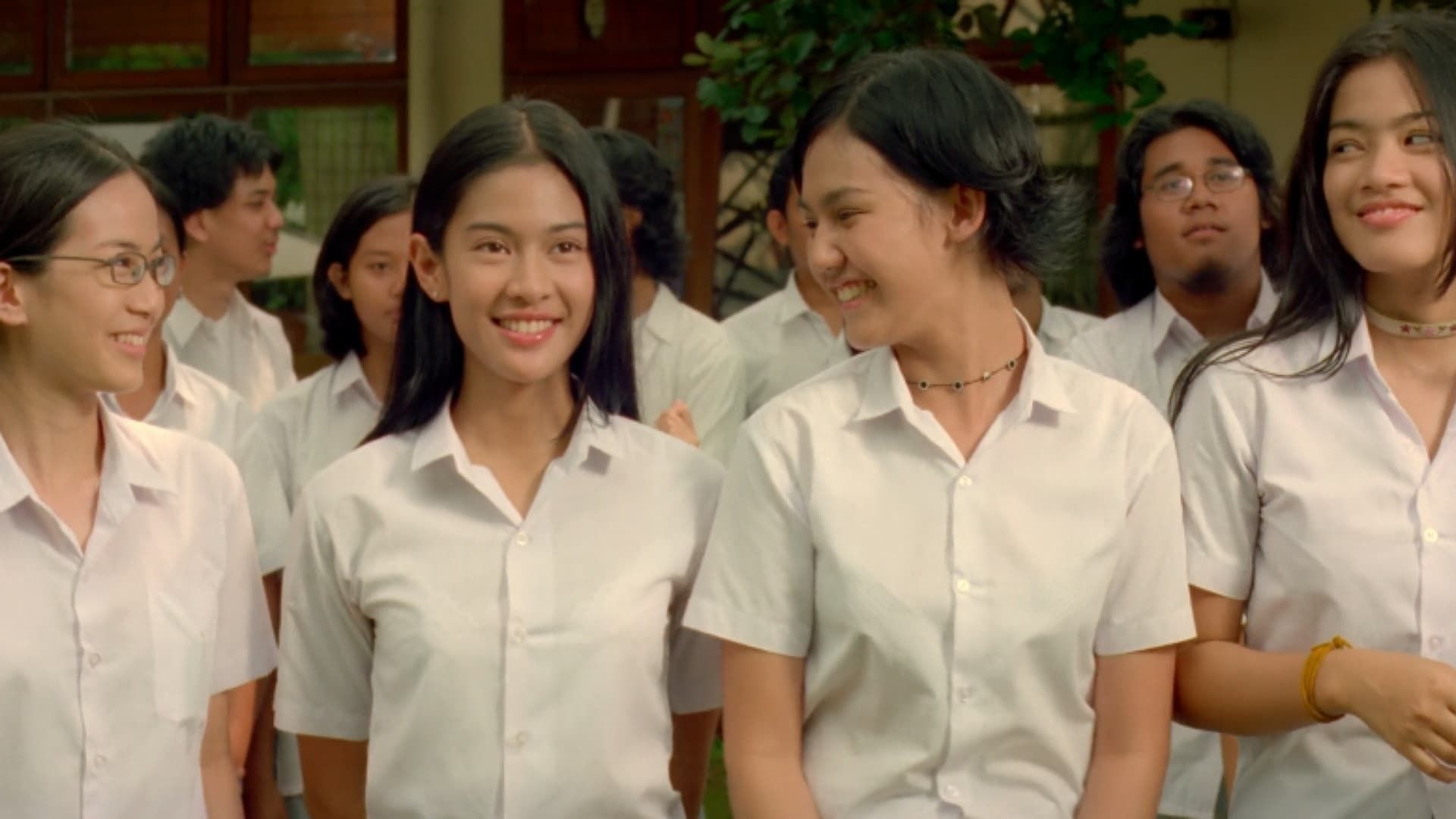 What's Up with Cinta? background
