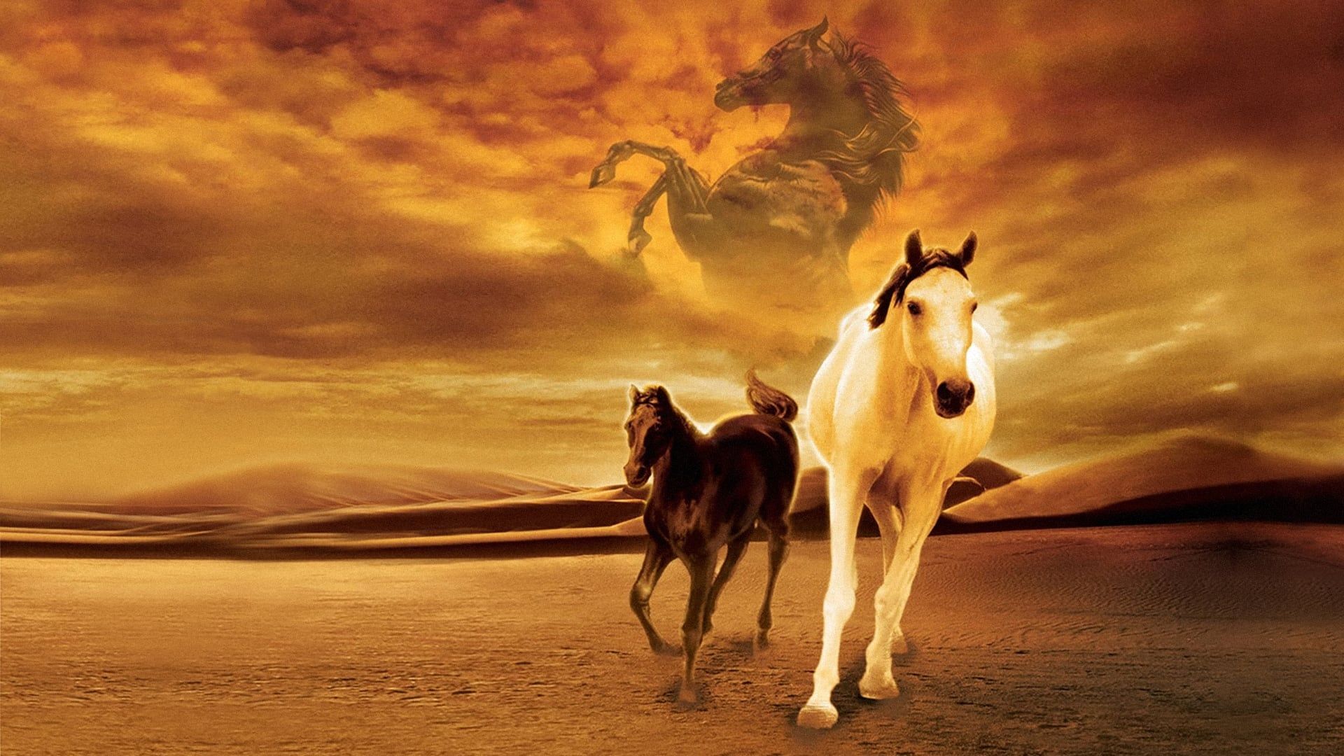 The Young Black Stallion background