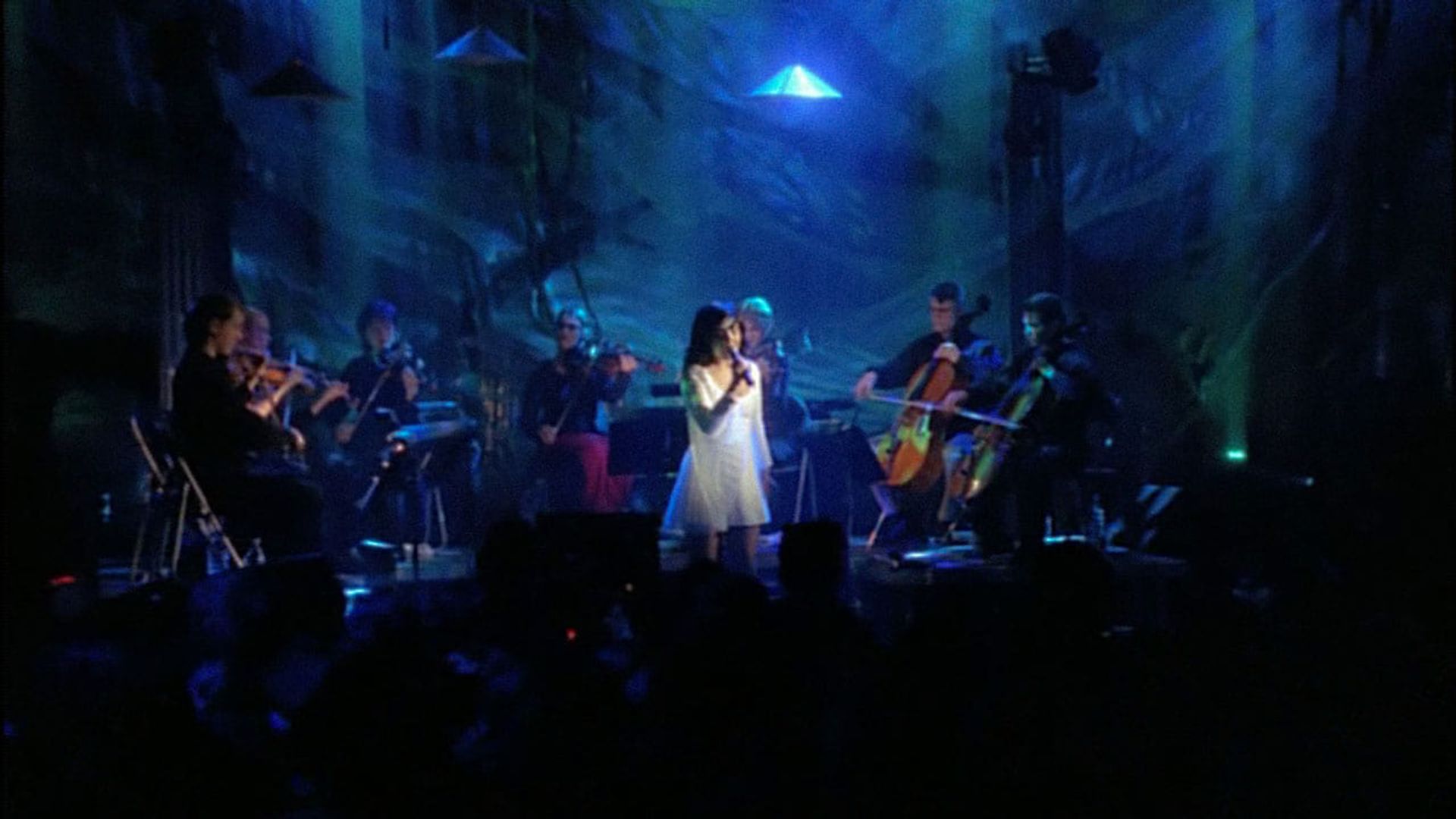 Björk: Live at Cambridge background