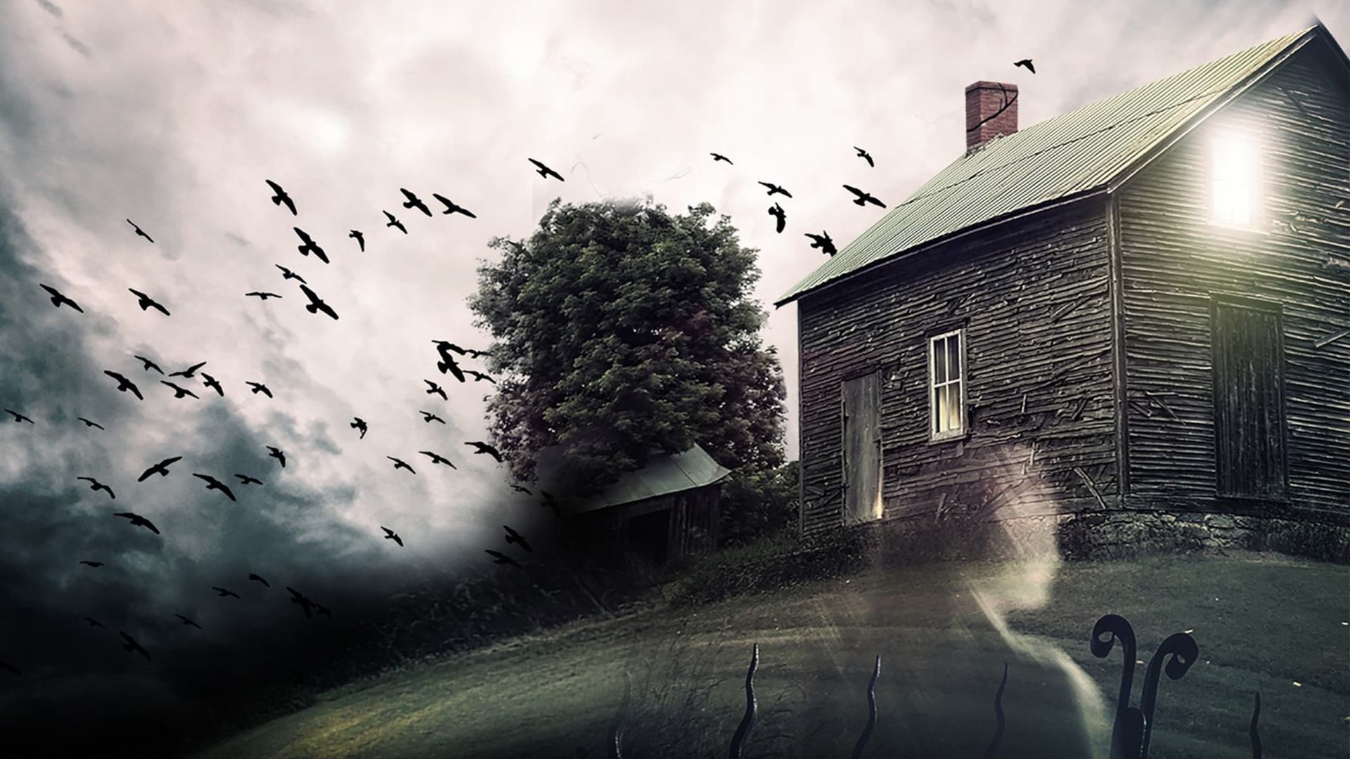 The House That Screamed background