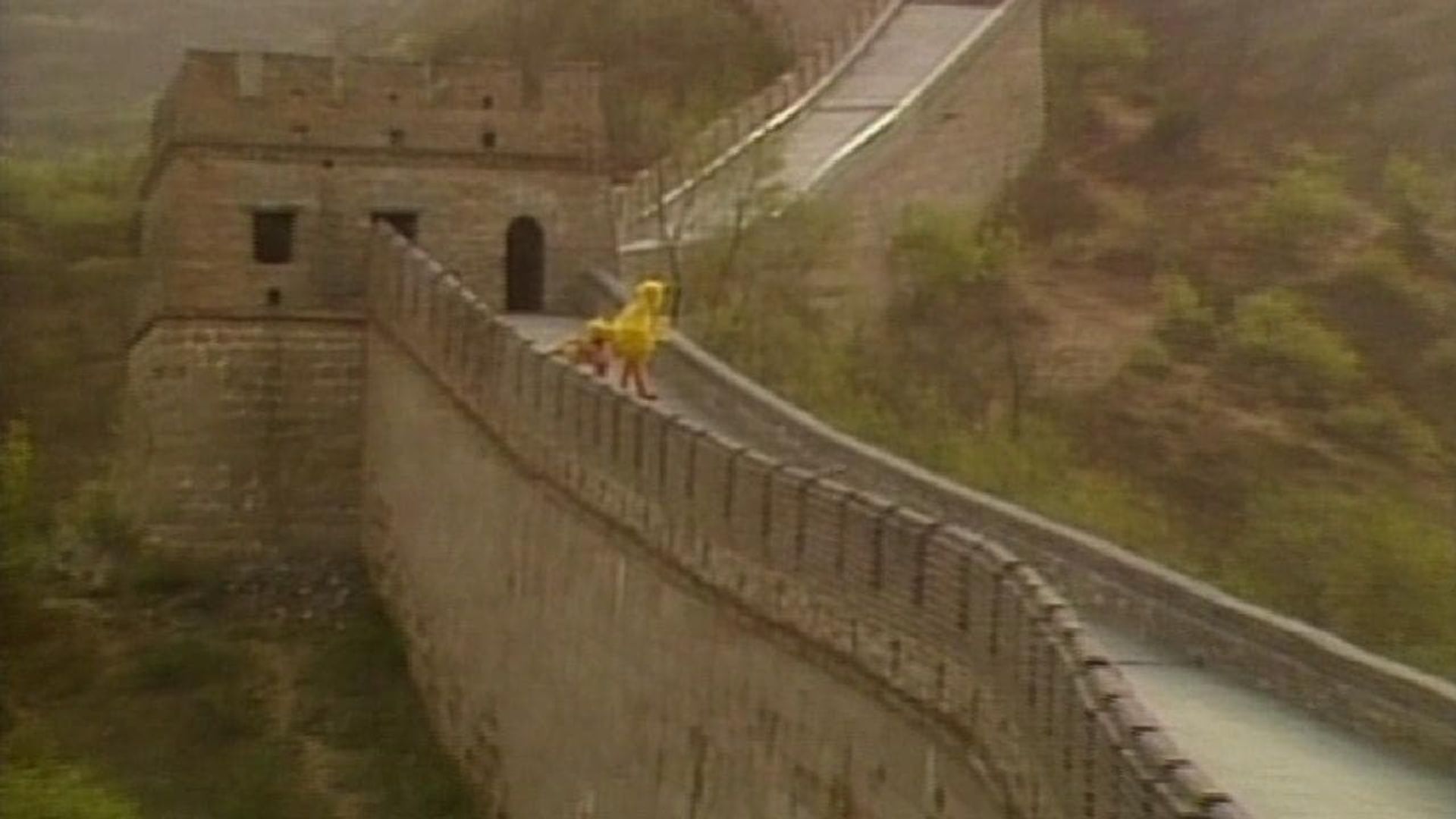 Big Bird in China background