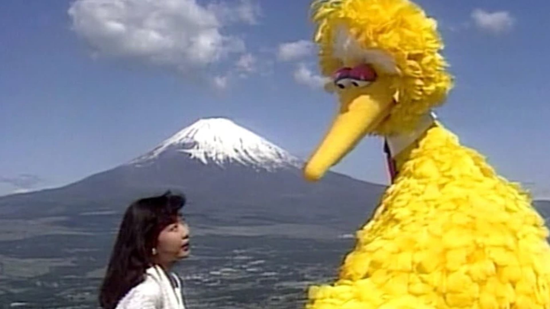 Big Bird in Japan background