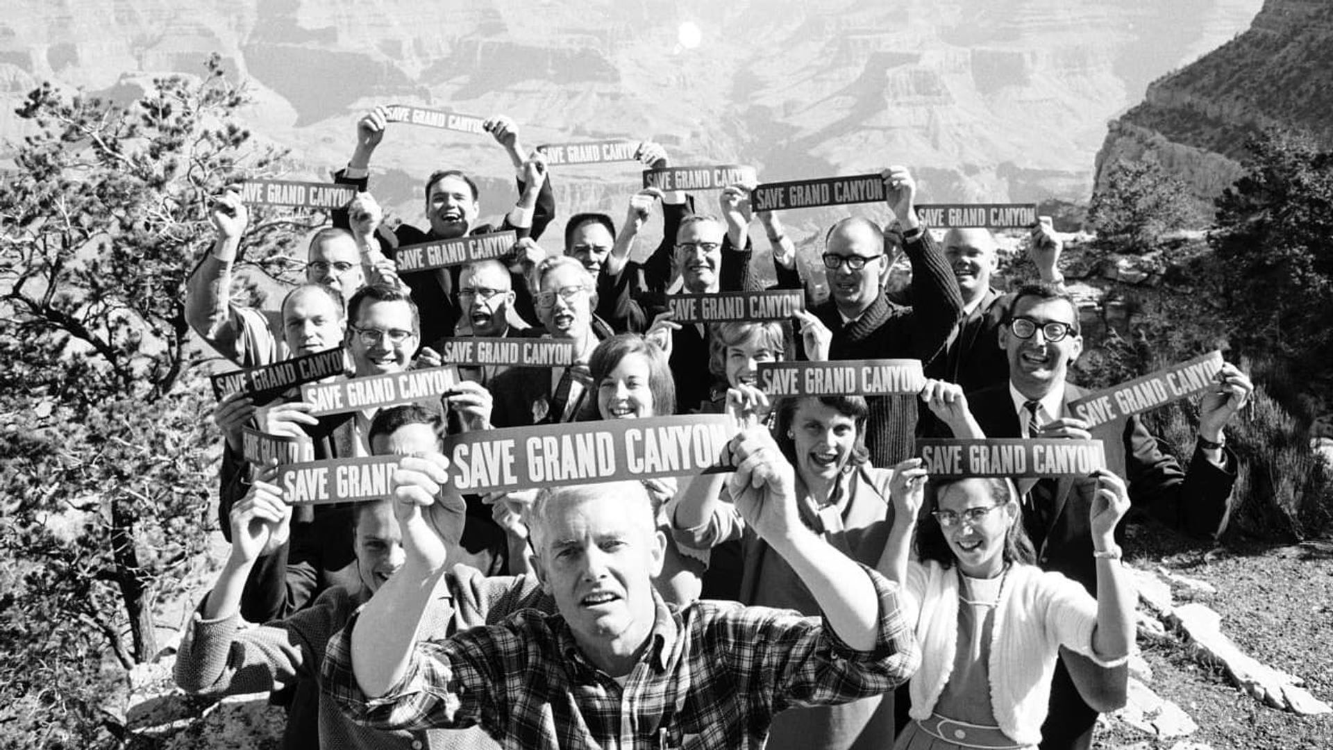 Monumental: David Brower's Fight for Wild America background