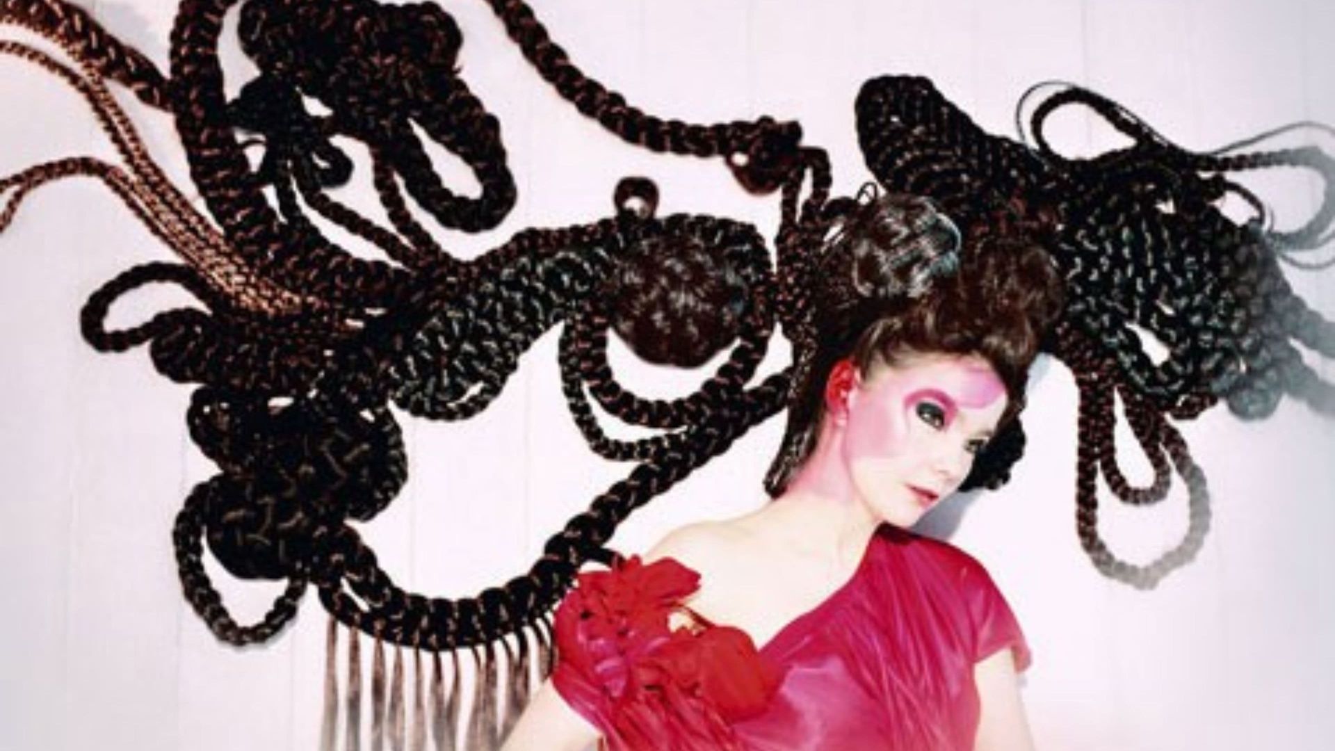 Bjork: Inner or Deep Part of an Animal or Plant Structure background
