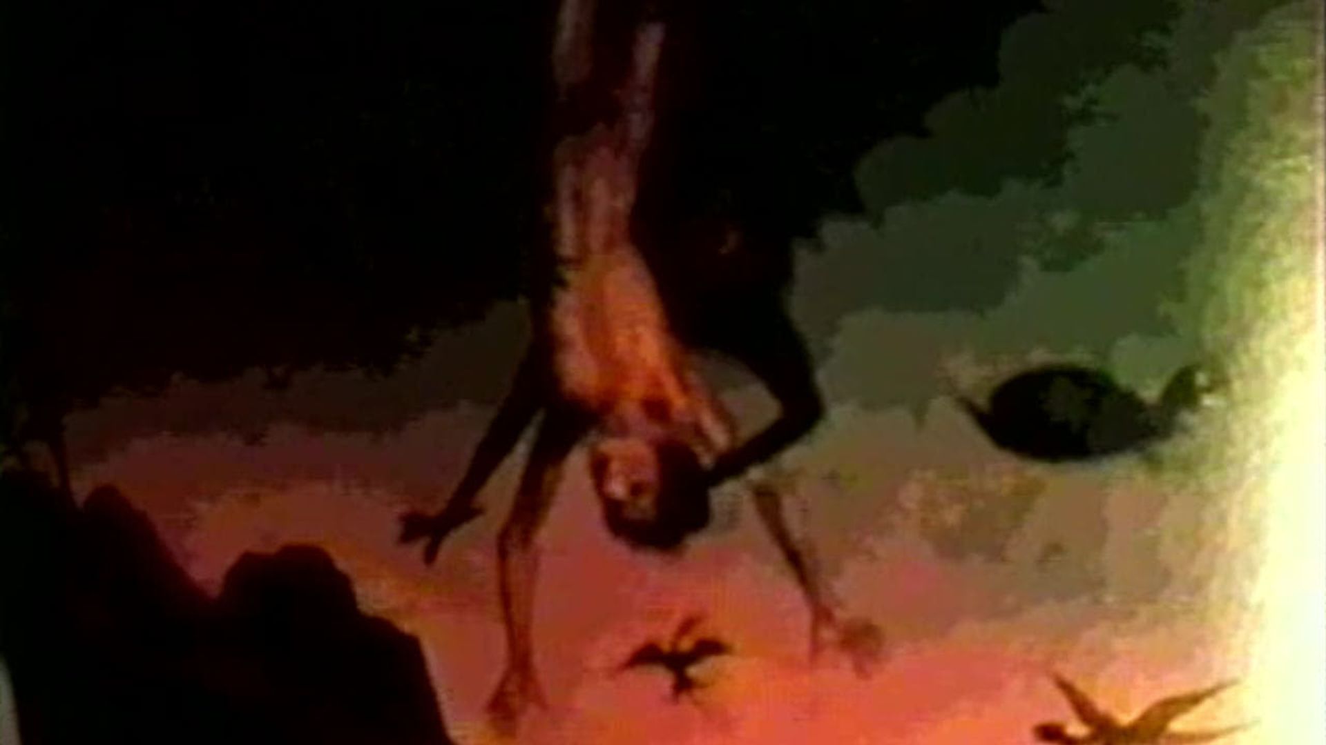 Suroh: Alien Hitchhiker background