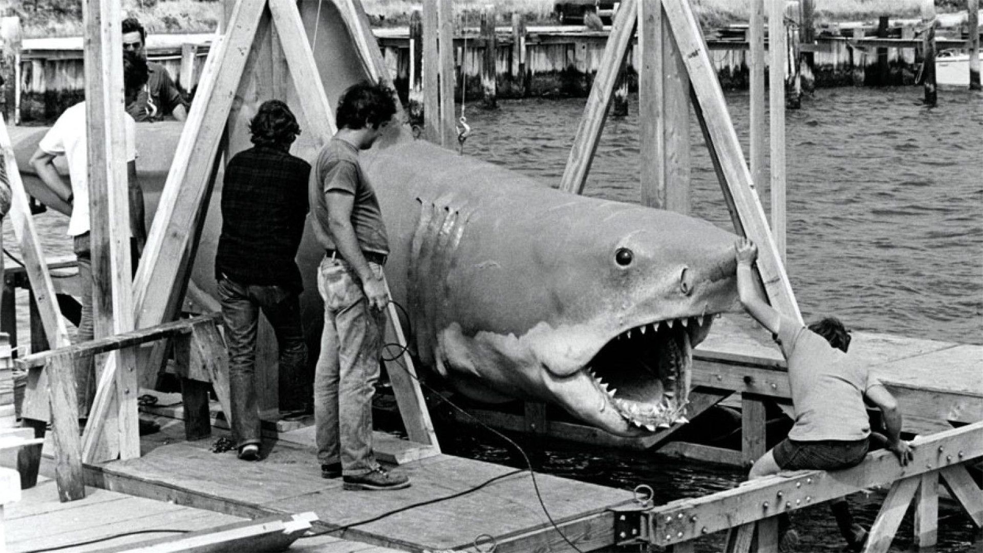 The Shark Is Still Working background
