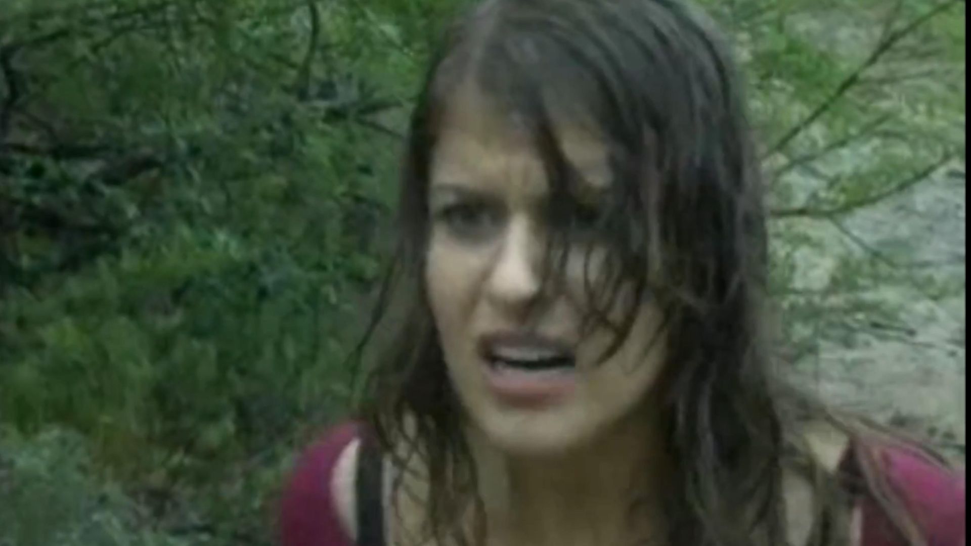 Within the Woods background