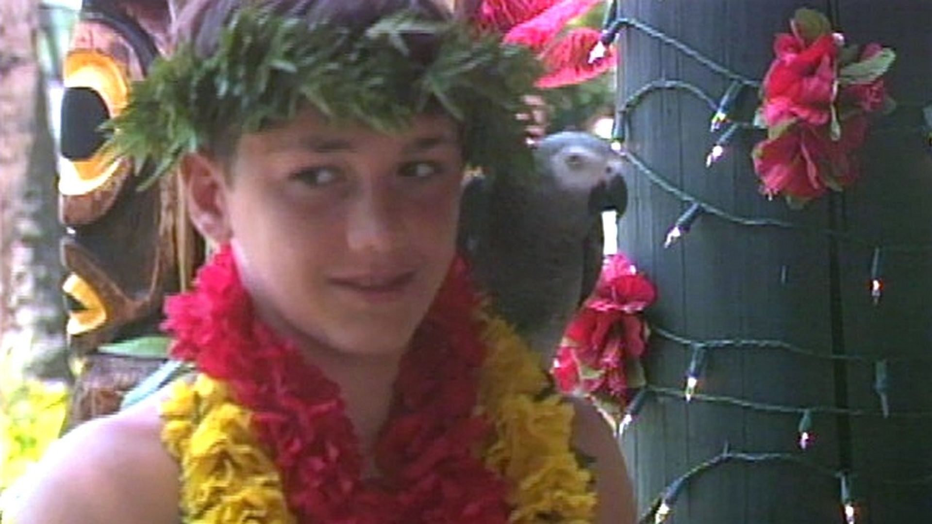 Iki Haole: Nico's Hawaiian Adventure background