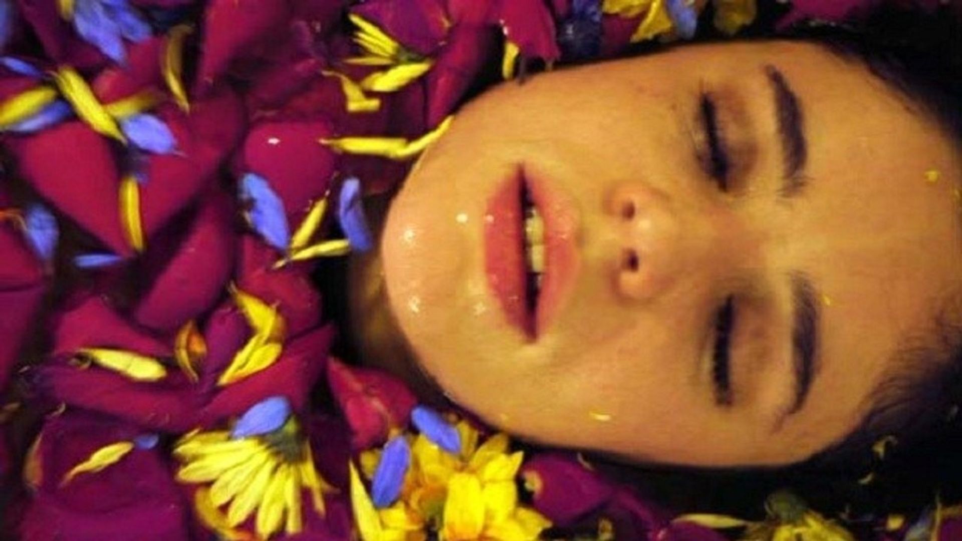 Violeta de mil colores background