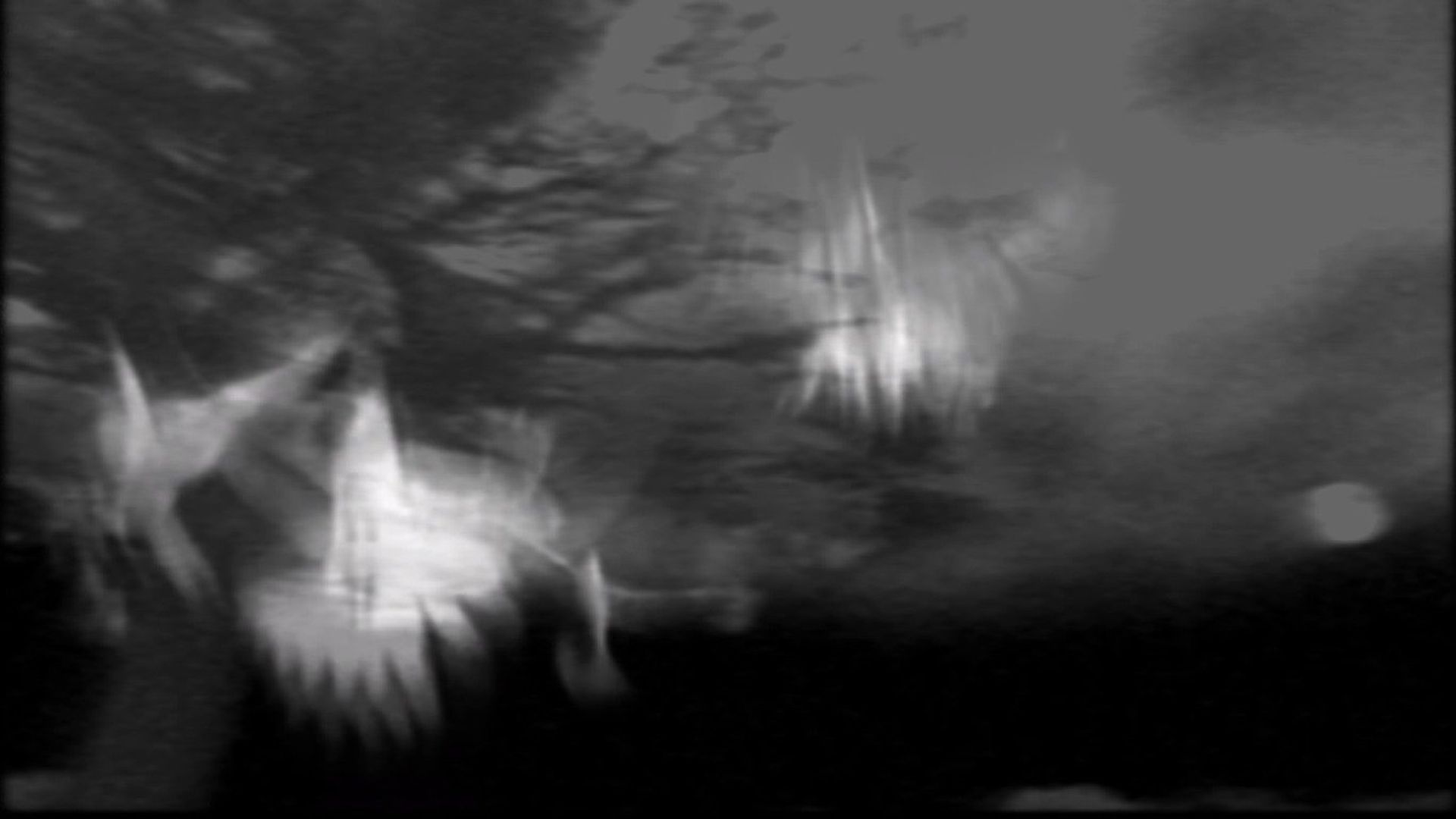 The Passing background